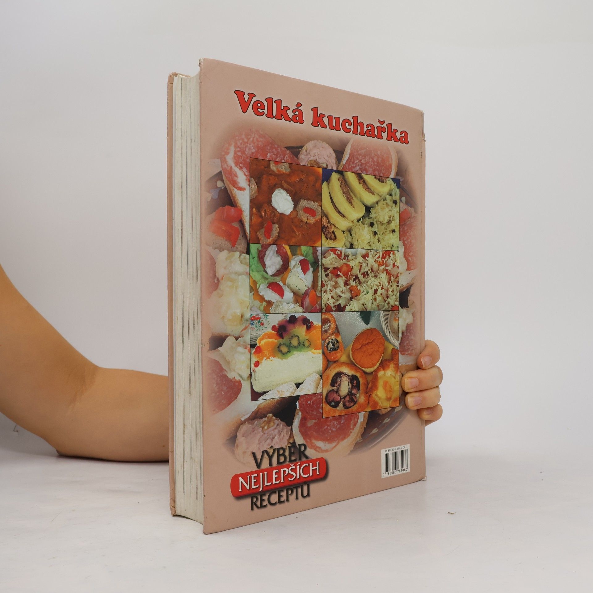 Zemanová Šárka Velká kuchařka. Výběr receptů z domácí i zahraniční kuchyně