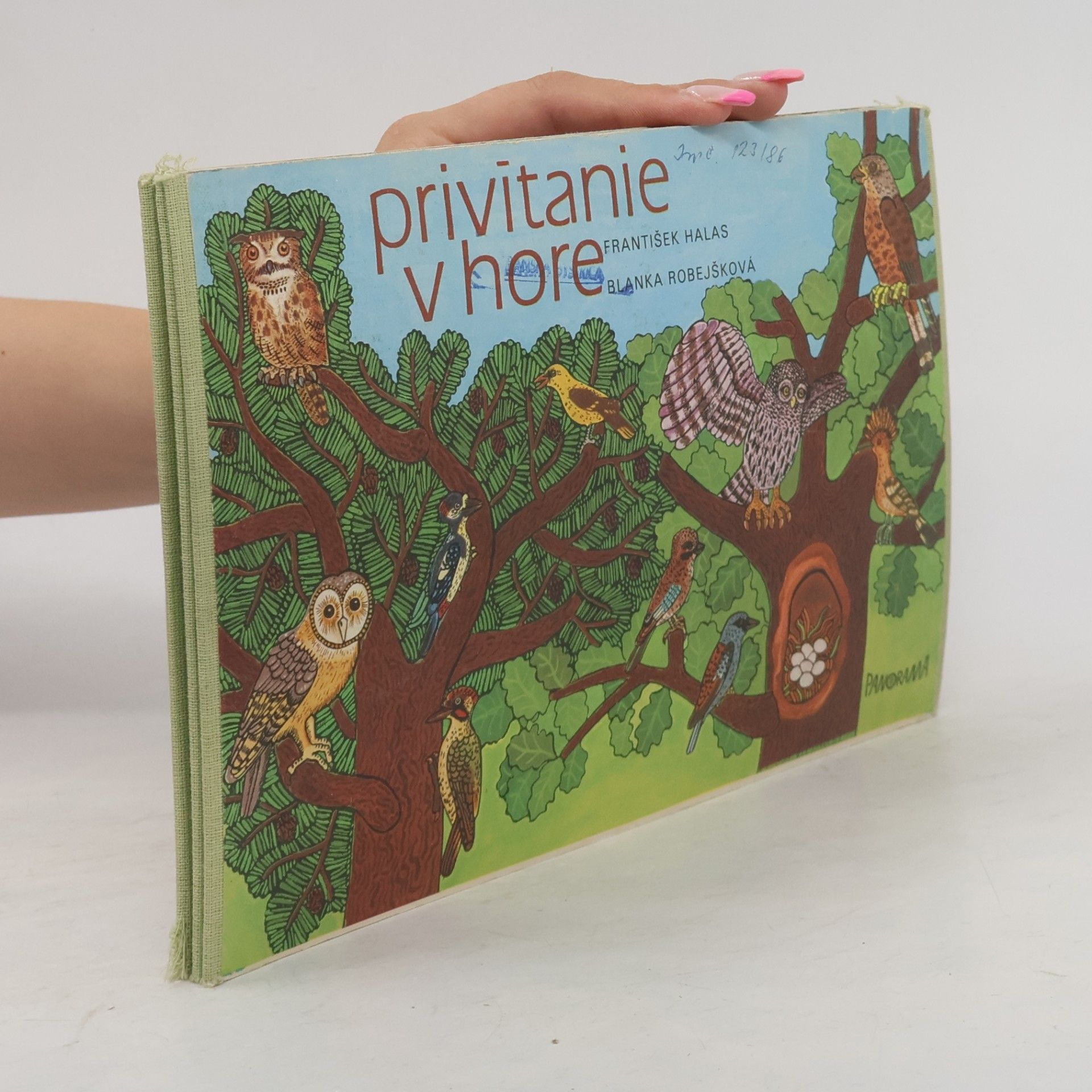 Privítanie v hore
