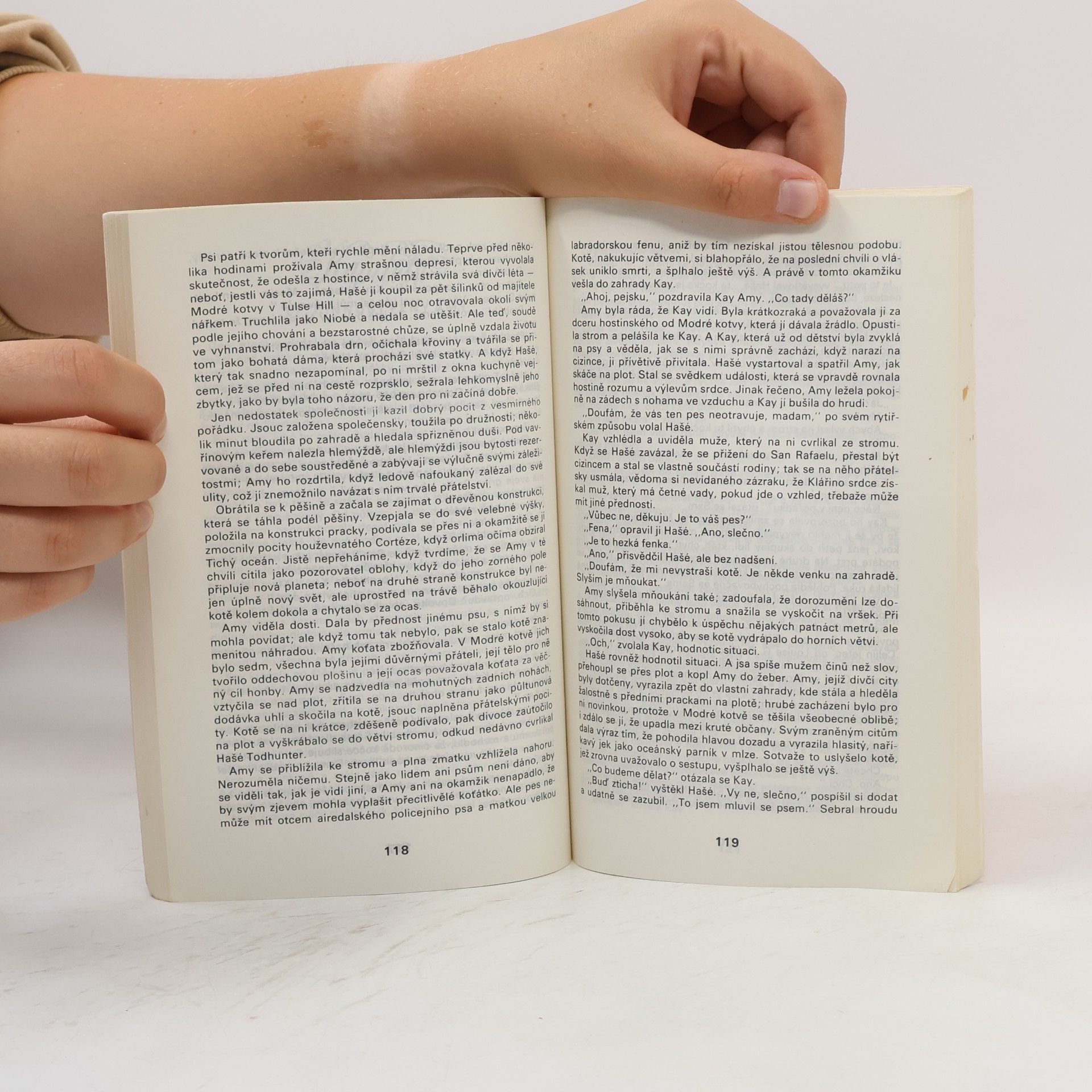 Pelham Wodehouse Ukvapený Sam