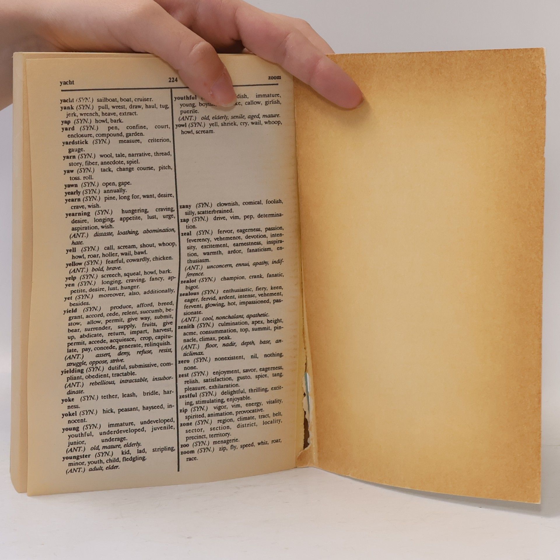 Various authors Webster's Dictionary & Thesaurus
