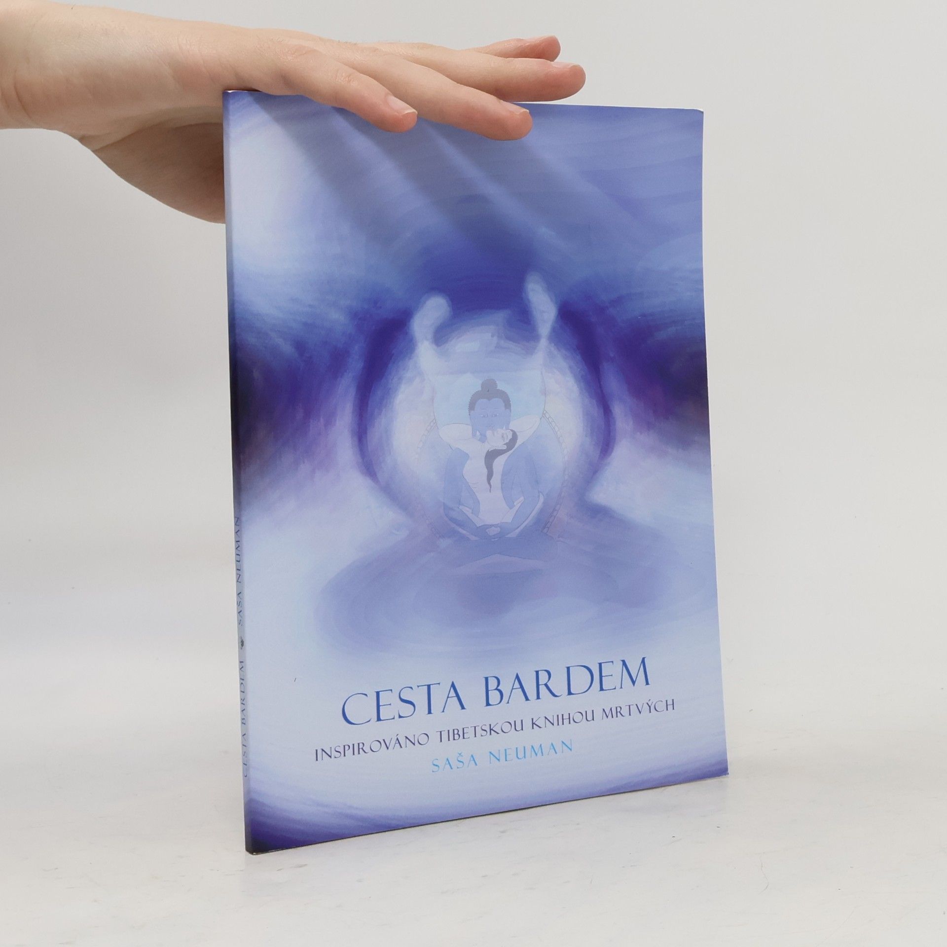 Saša Neuman Cesta bardem