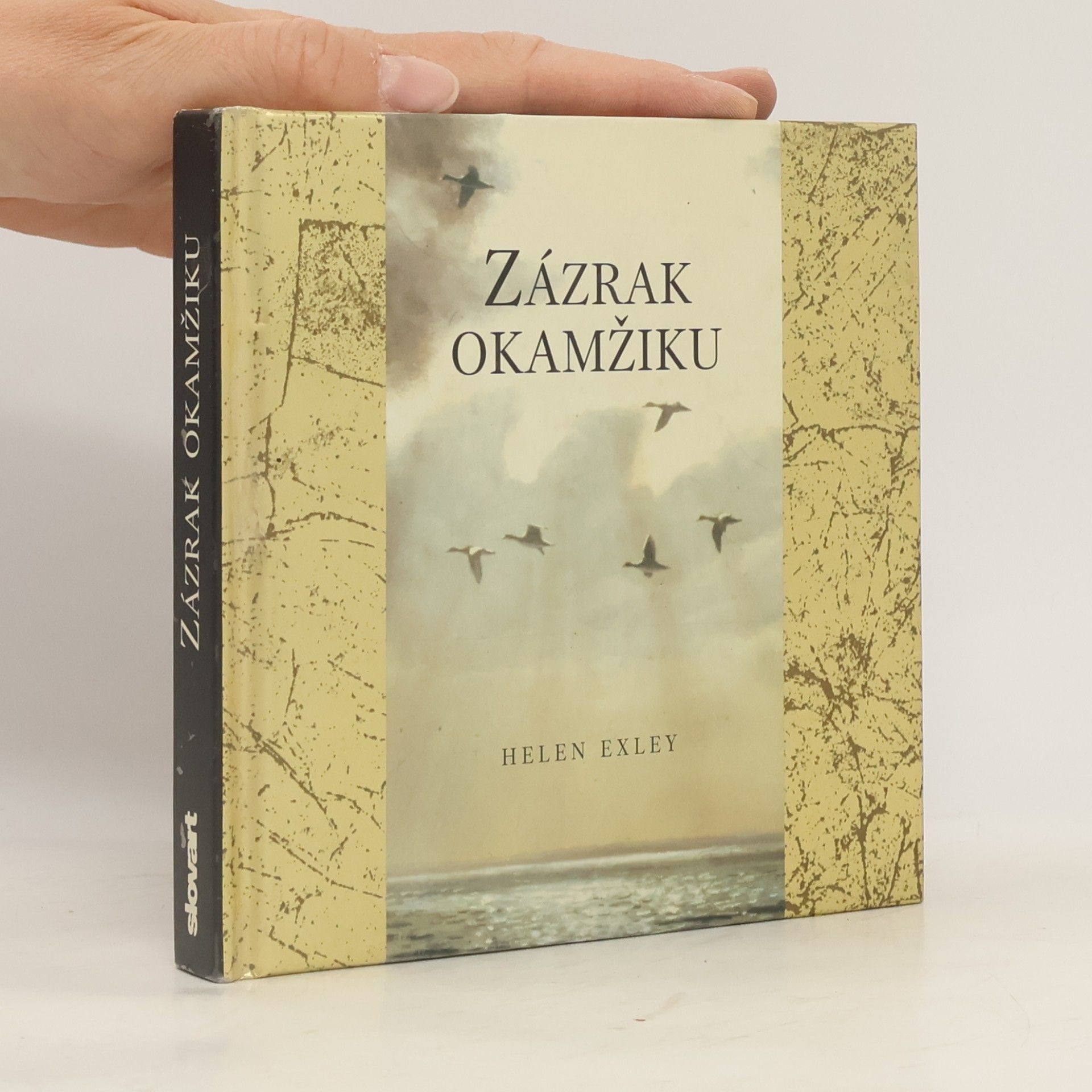 Helen Exley Zázrak okamžiku