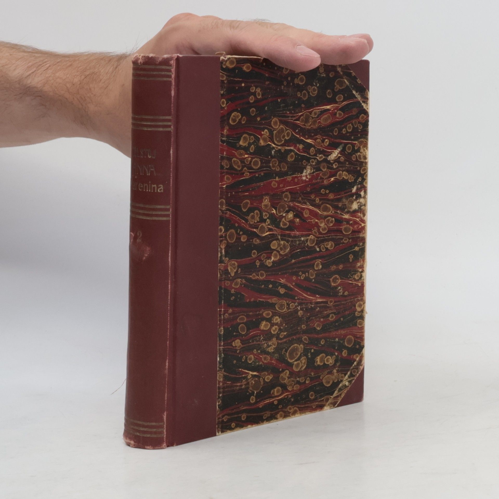 Lew Nikolajewitsch Tolstoi Anna Karenina II.