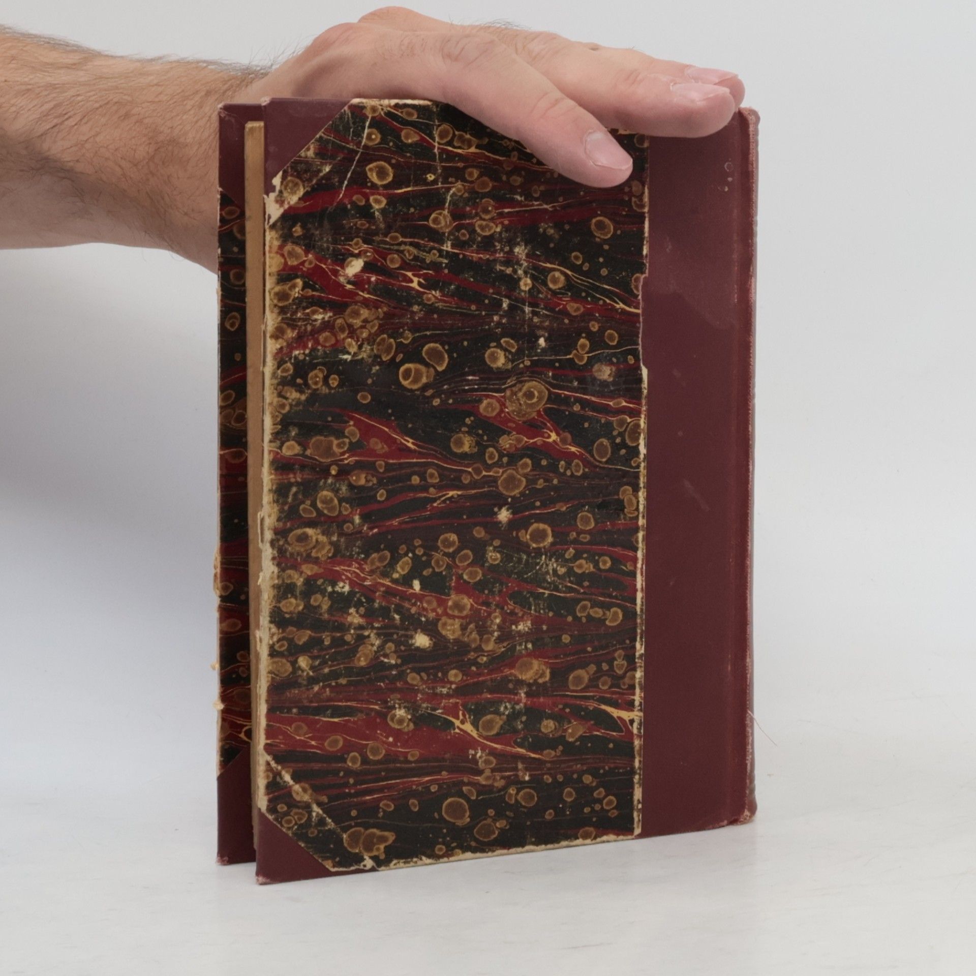 Lew Nikolajewitsch Tolstoi Anna Karenina II.