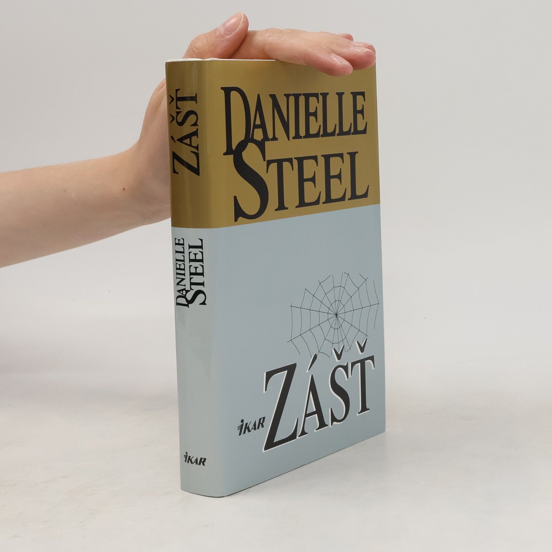 Danielle Steel Zášť
