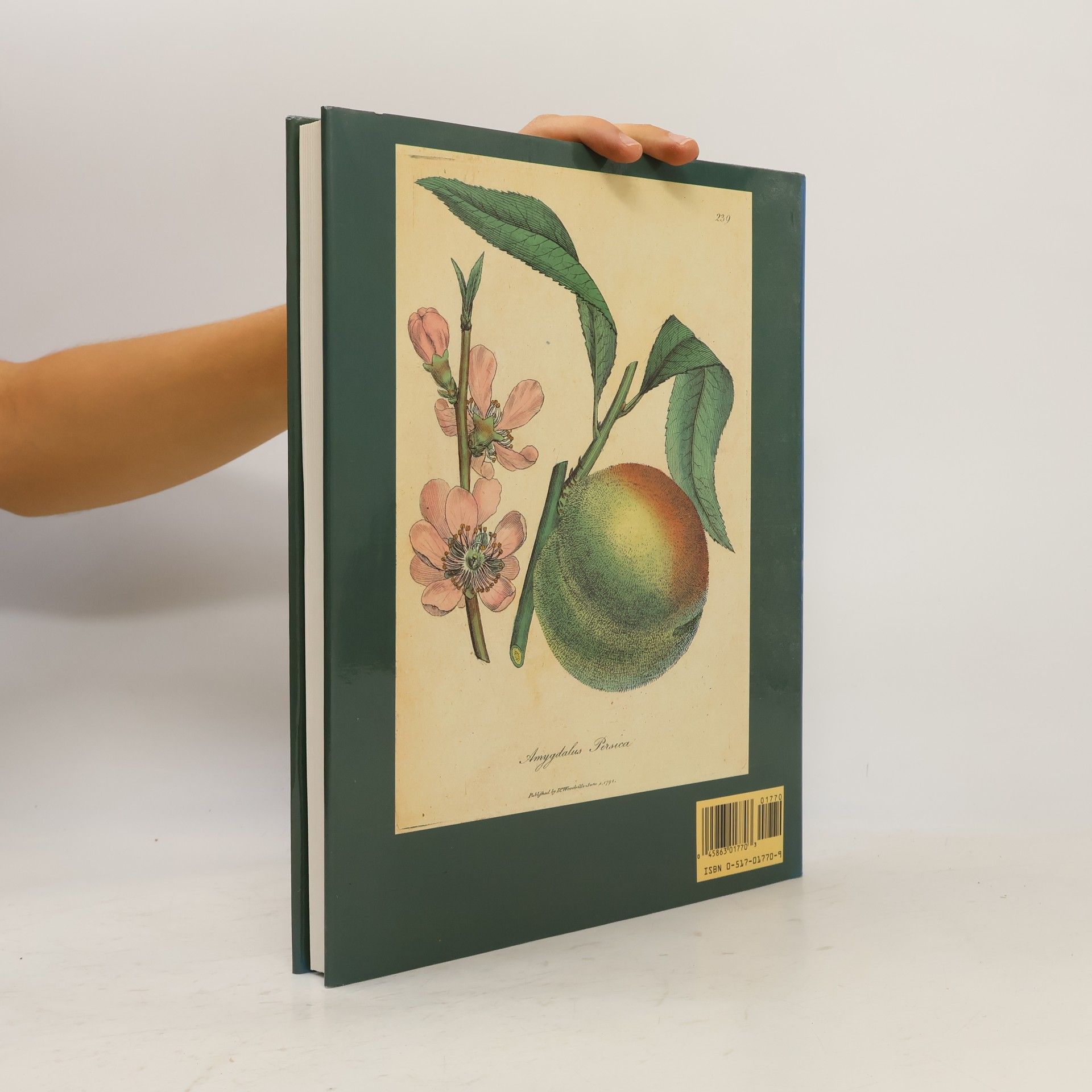 George Graves Medicinal Plants