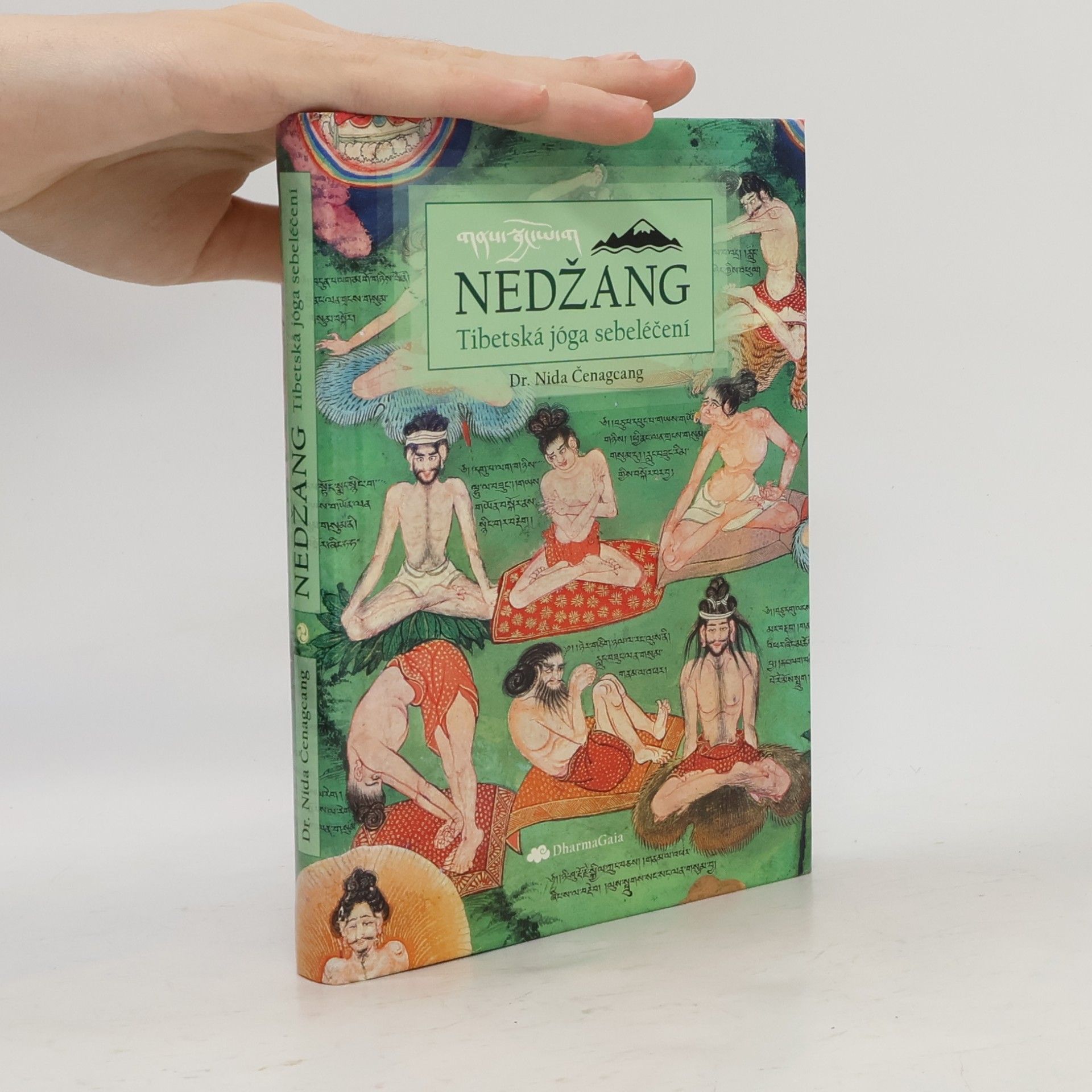 Nida Čenagcang Nedžang. Tibetská jóga sebeléčení