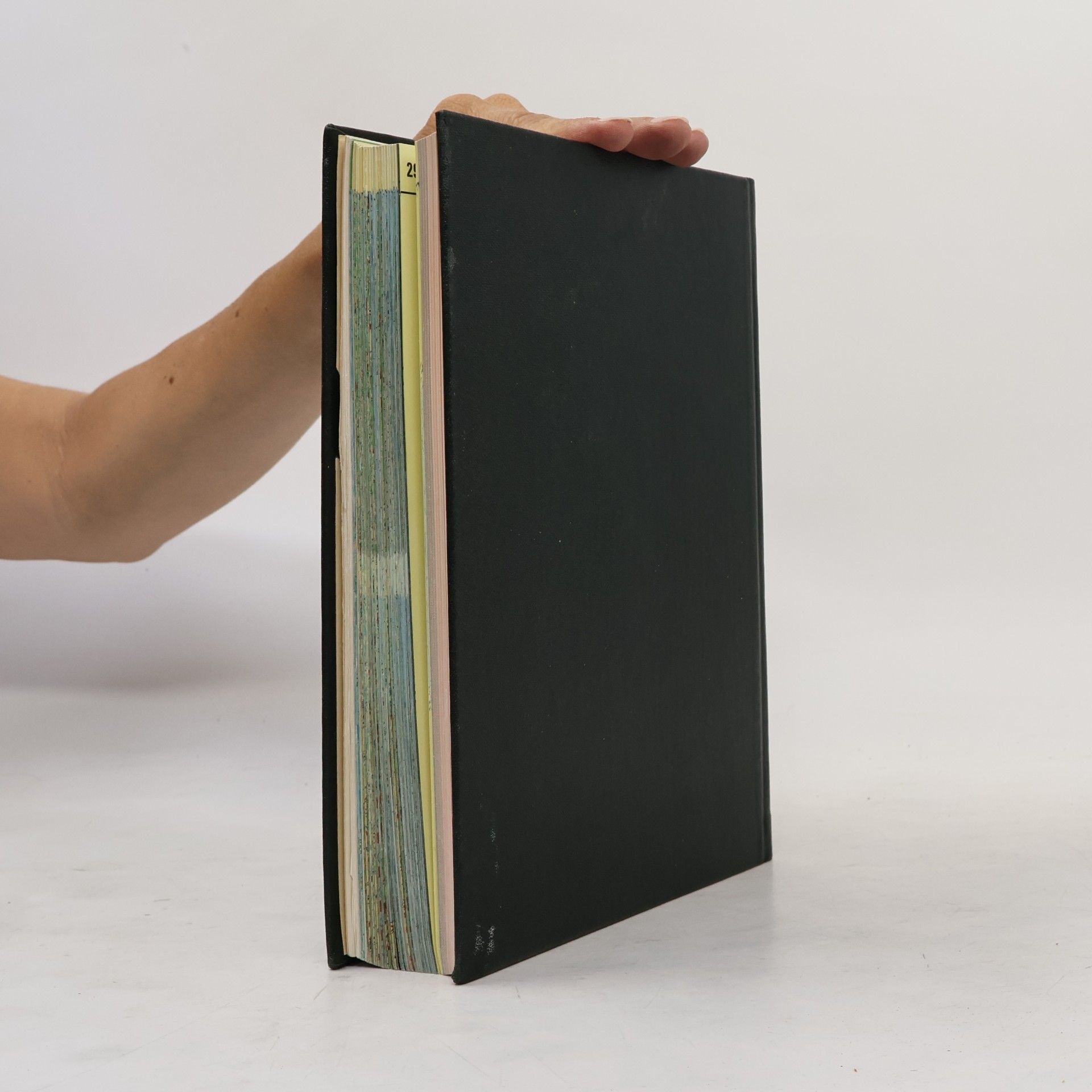 Autorenkollektiv Meyers neues Lexikon 17. Atlas-Karten