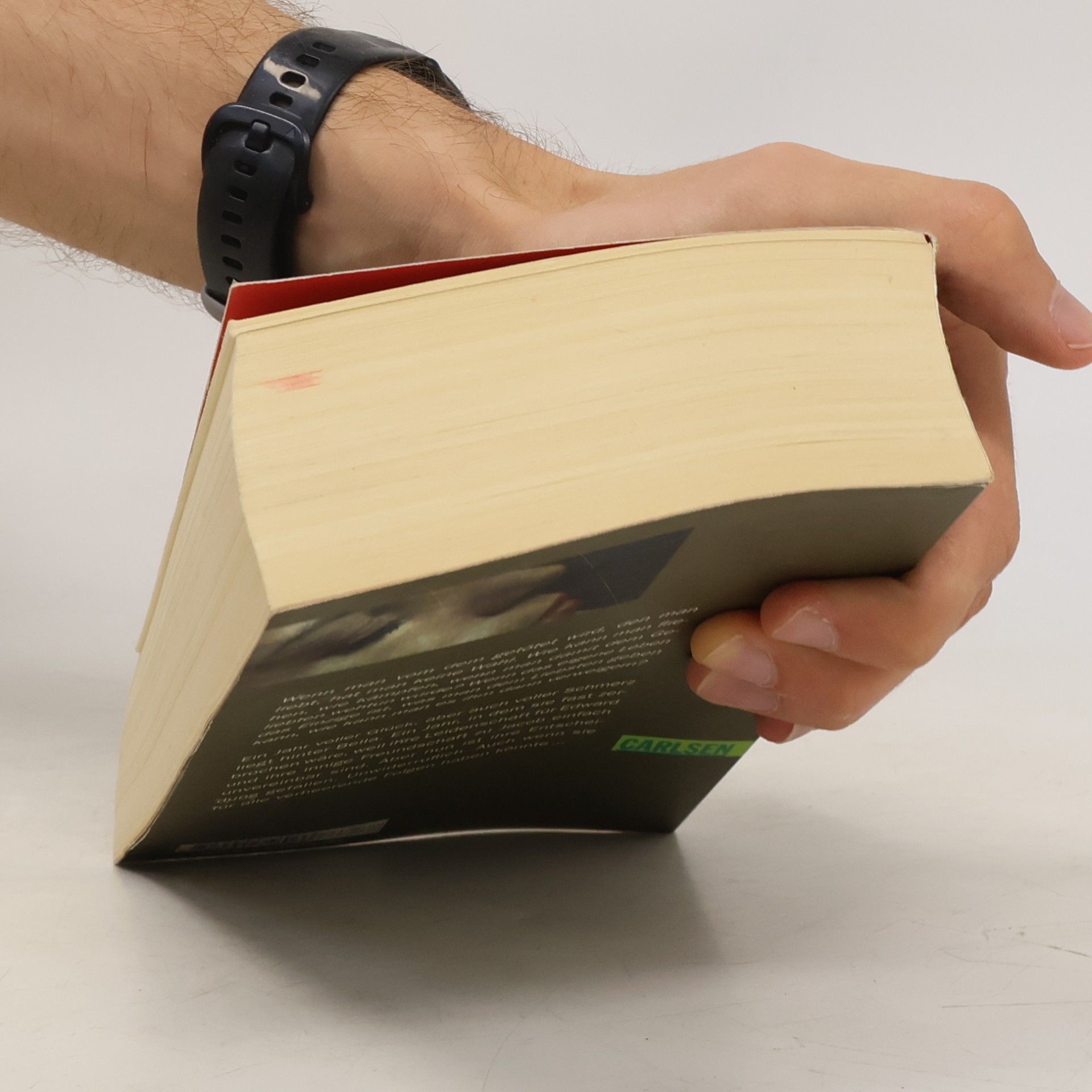 Stephenie Meyer Biss zum Ende der Nacht