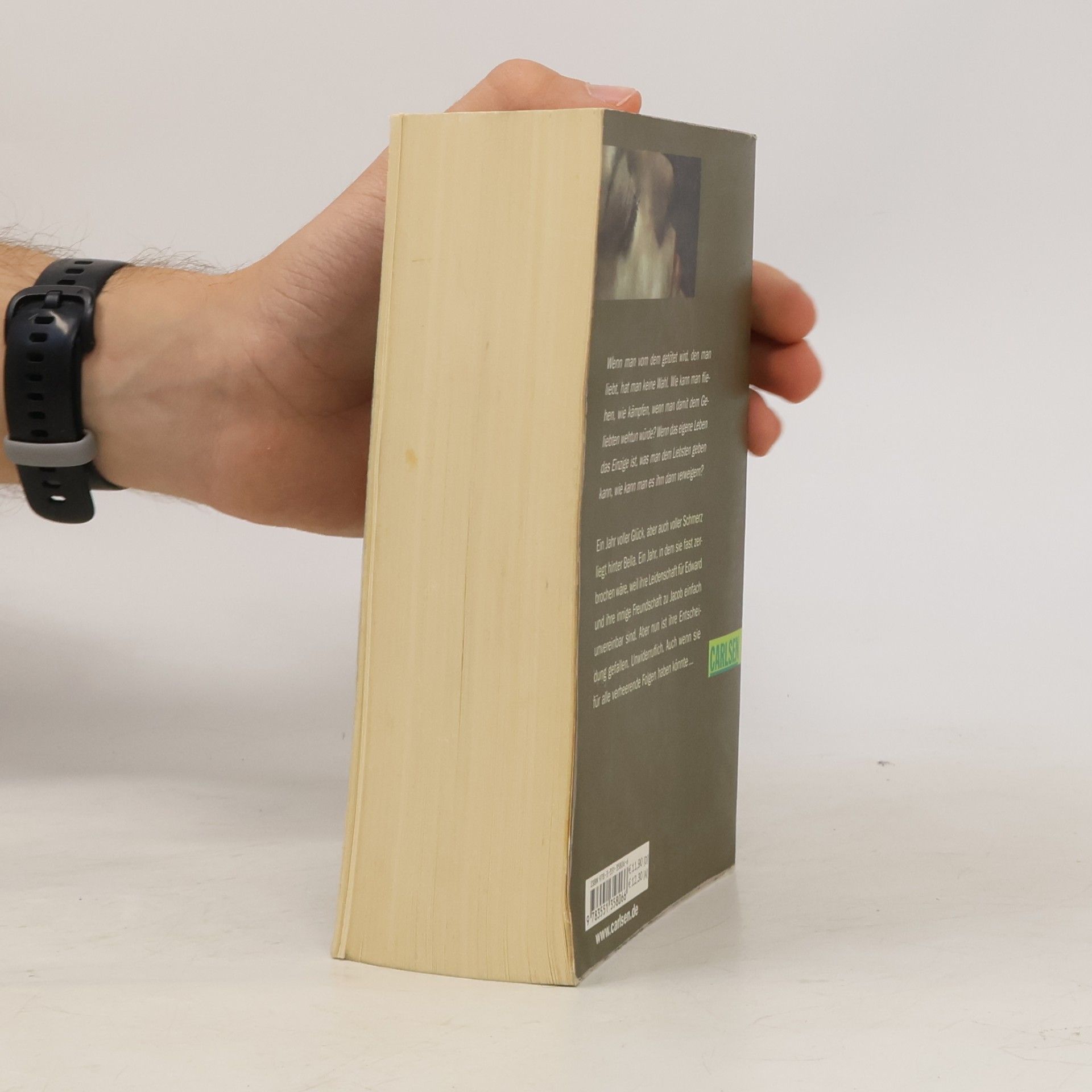Stephenie Meyer Biss zum Ende der Nacht
