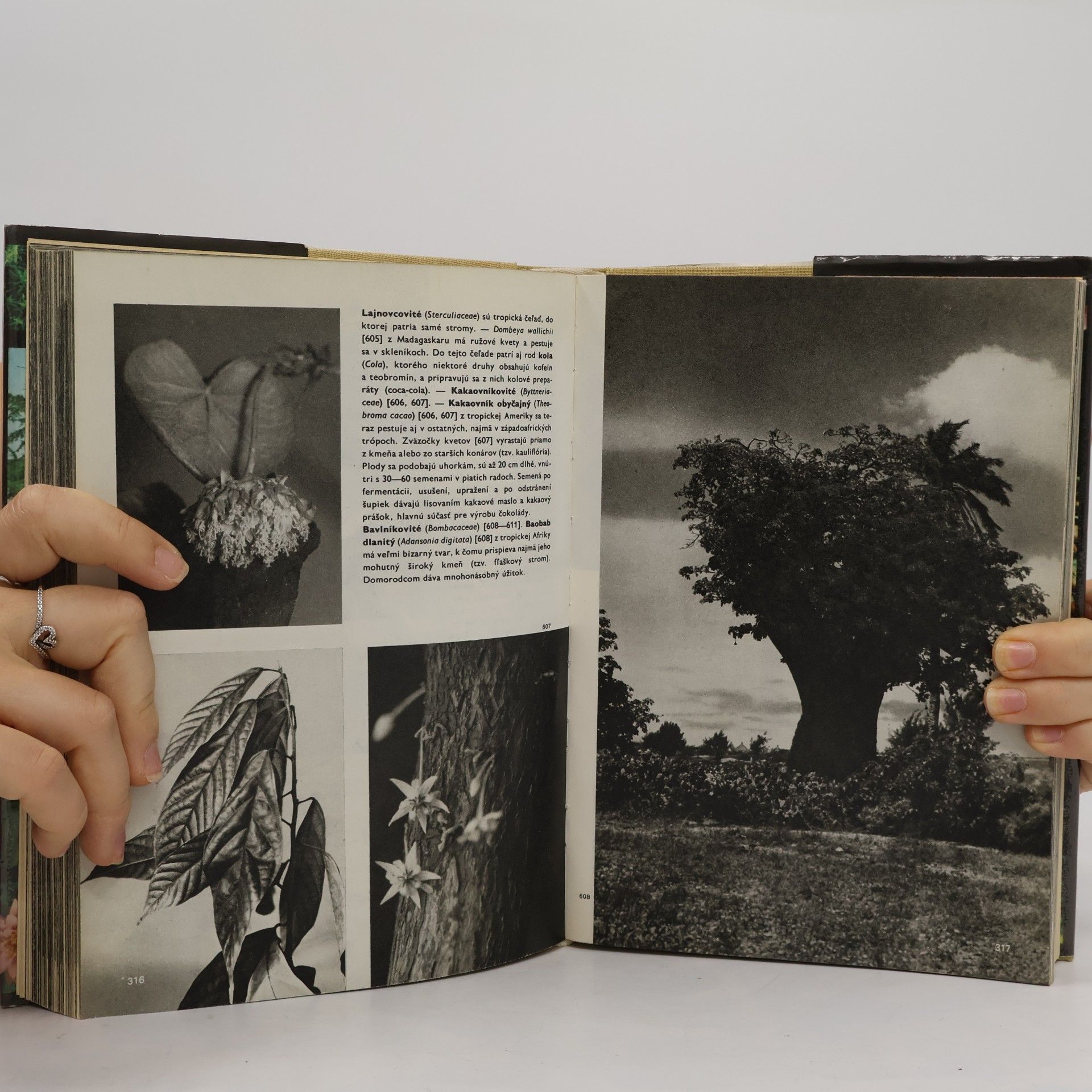 František Antonín Novák Veľký obrazový atlas rastlín