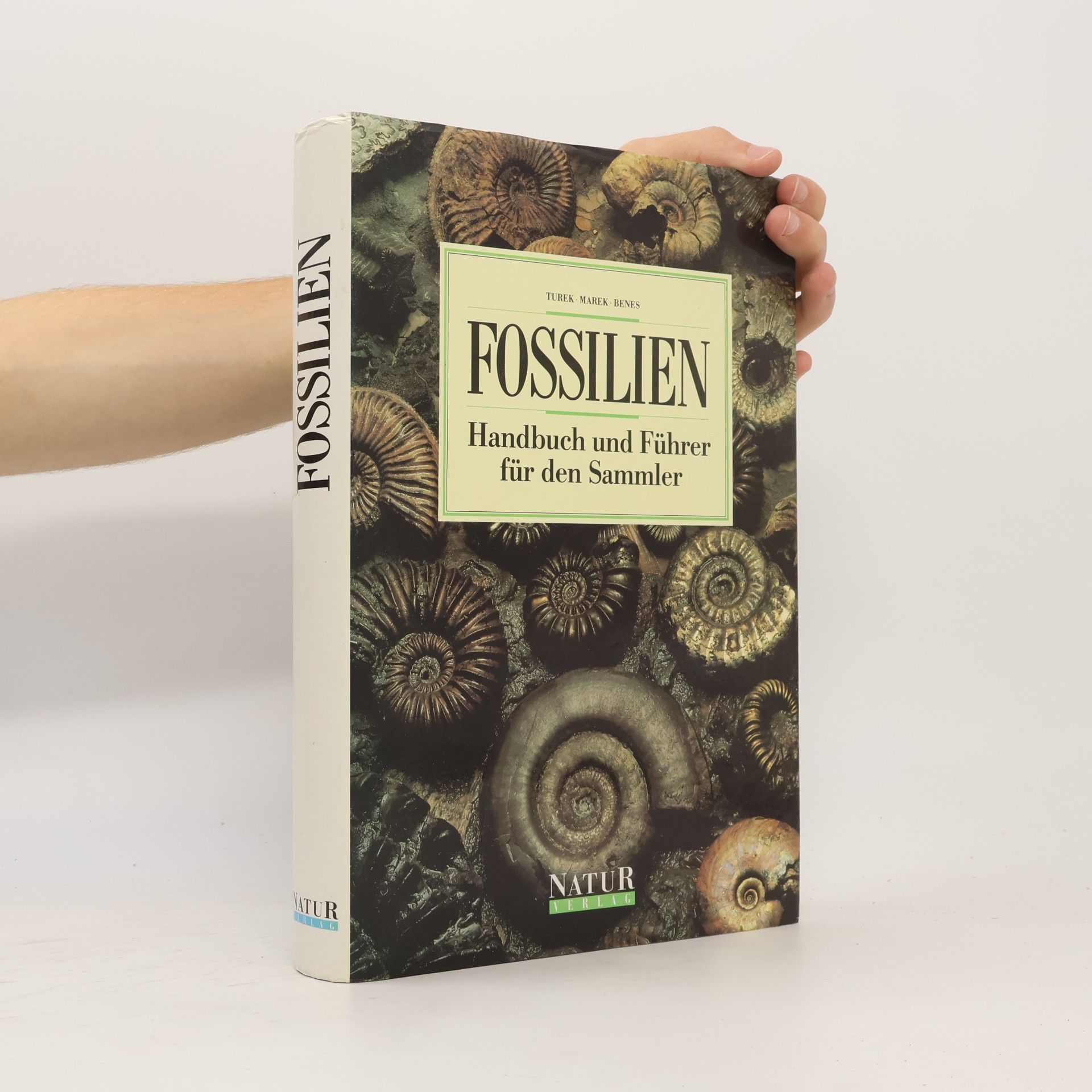 Fossilien