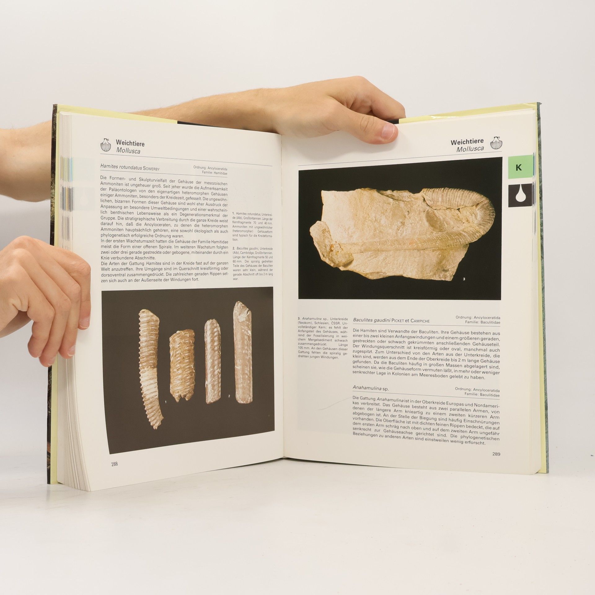 Vojtěch Turek Fossilien