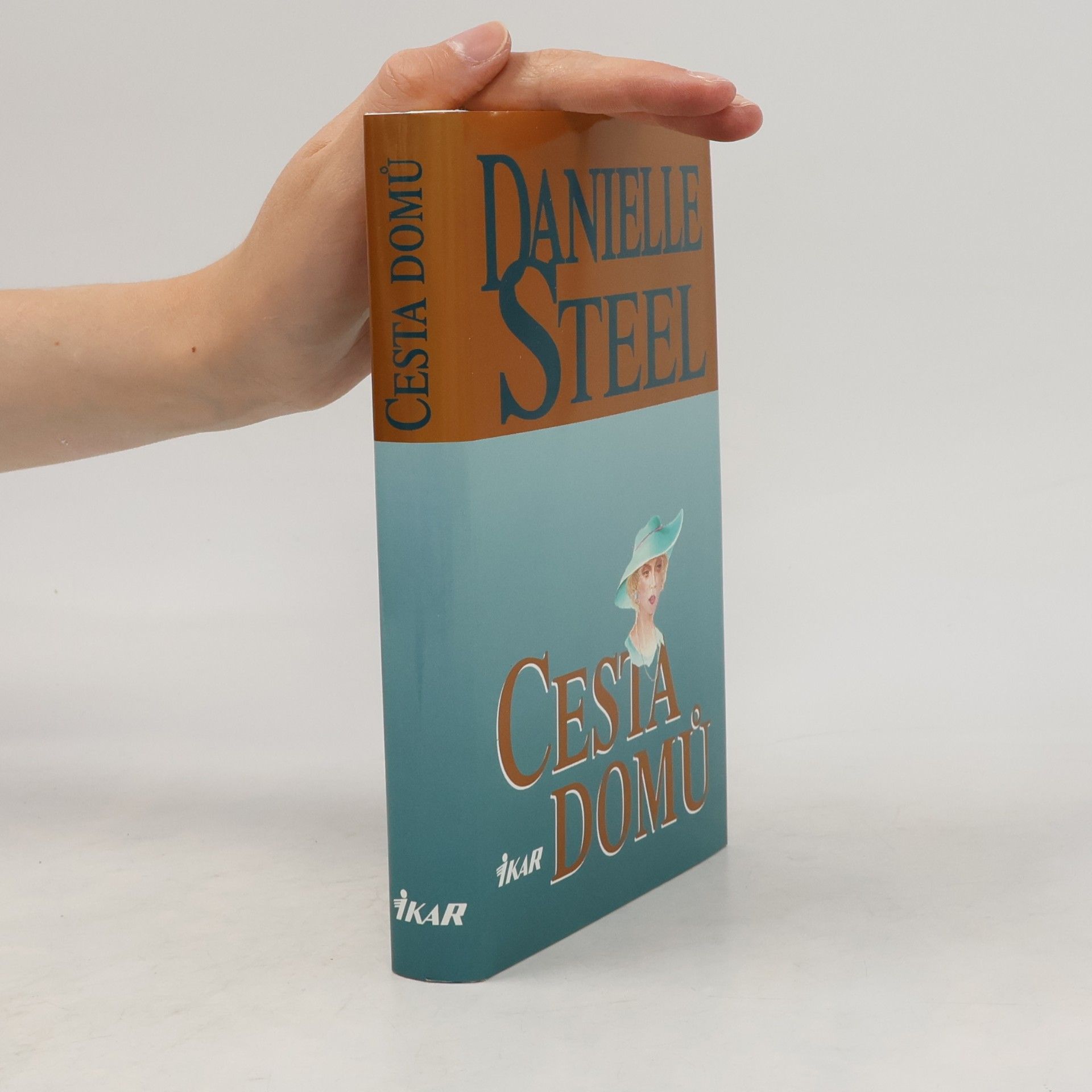Danielle Steel Cesta domů