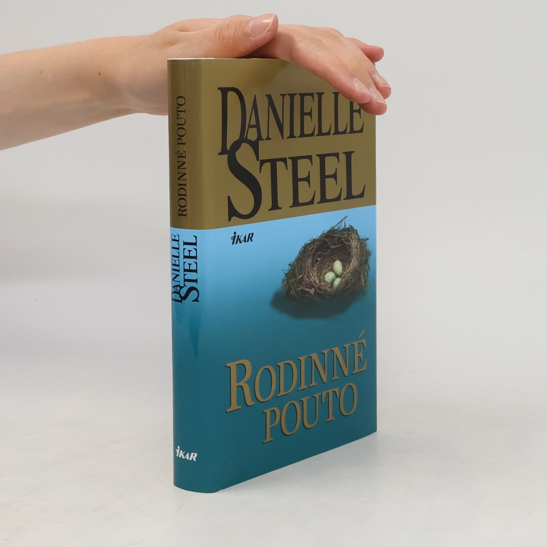 Danielle Steel Rodinné pouto