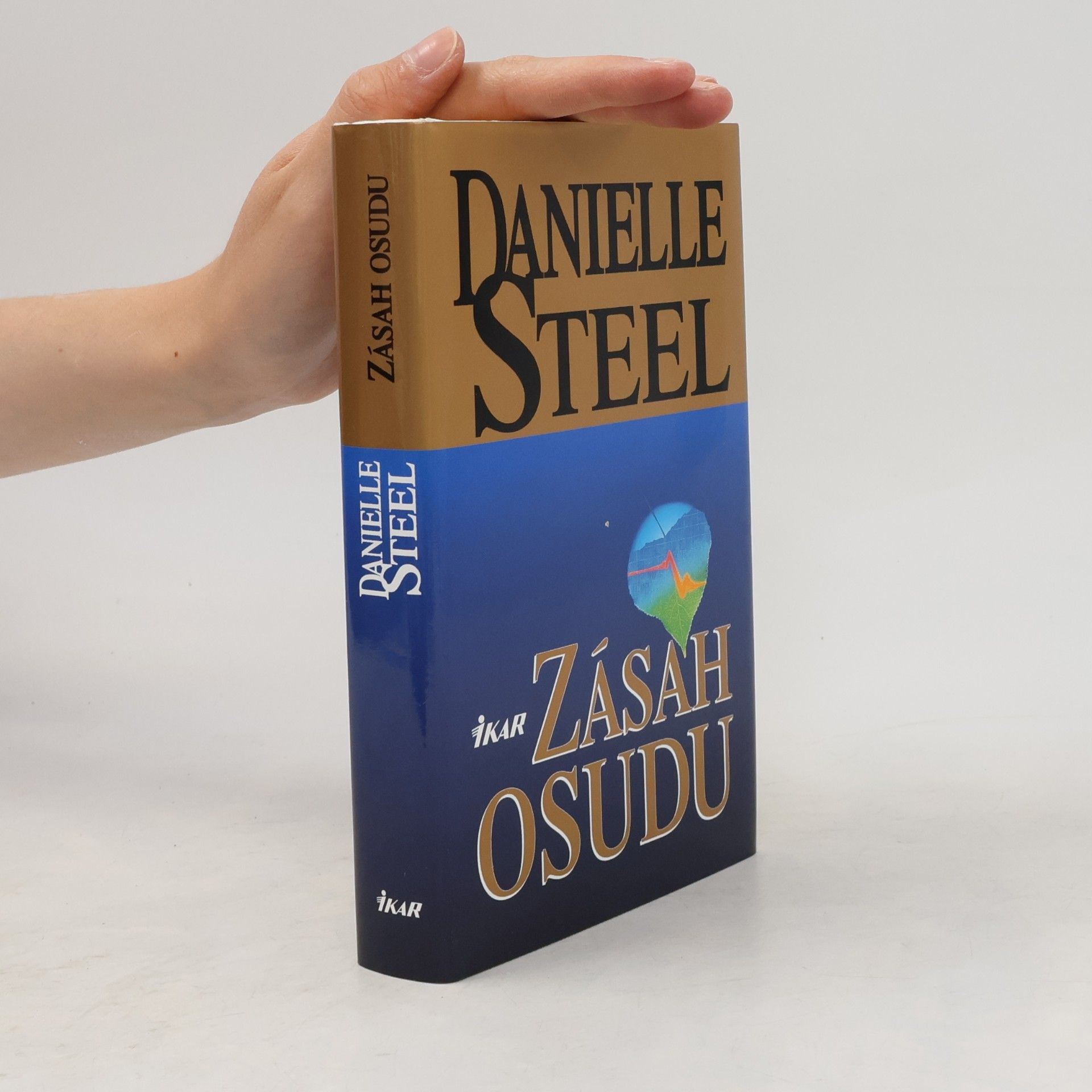 Danielle Steel Zásah osudu