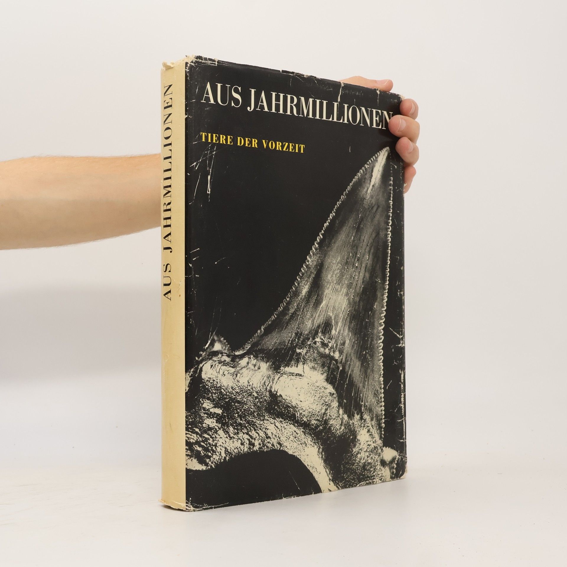 Arno Hermann Mueller Aus Jahrmillionen