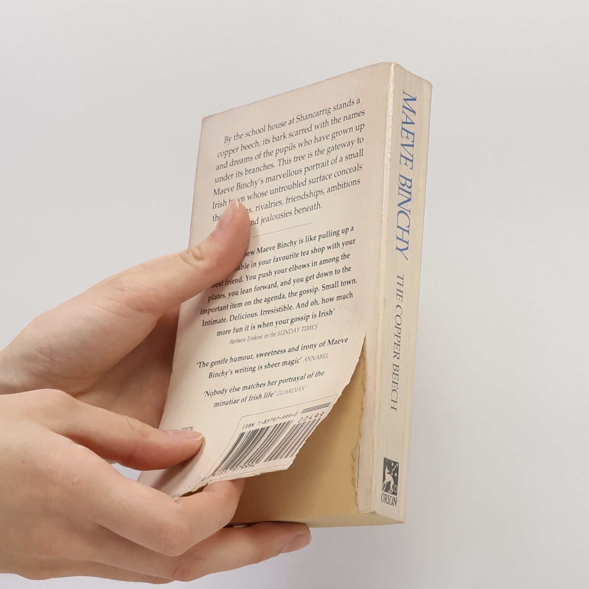 Maeve Binchy The Copper Beech