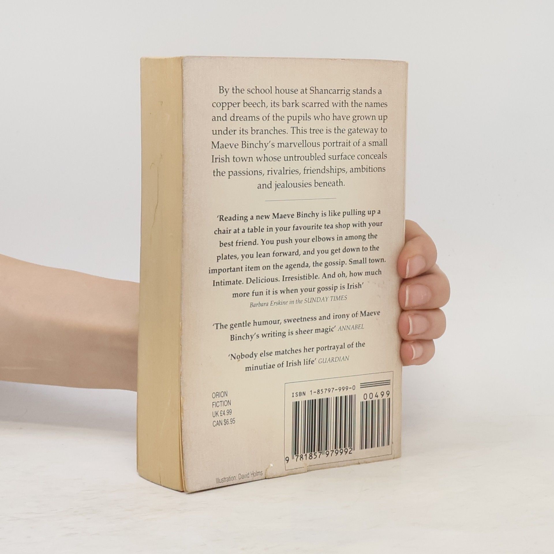 Maeve Binchy The Copper Beech