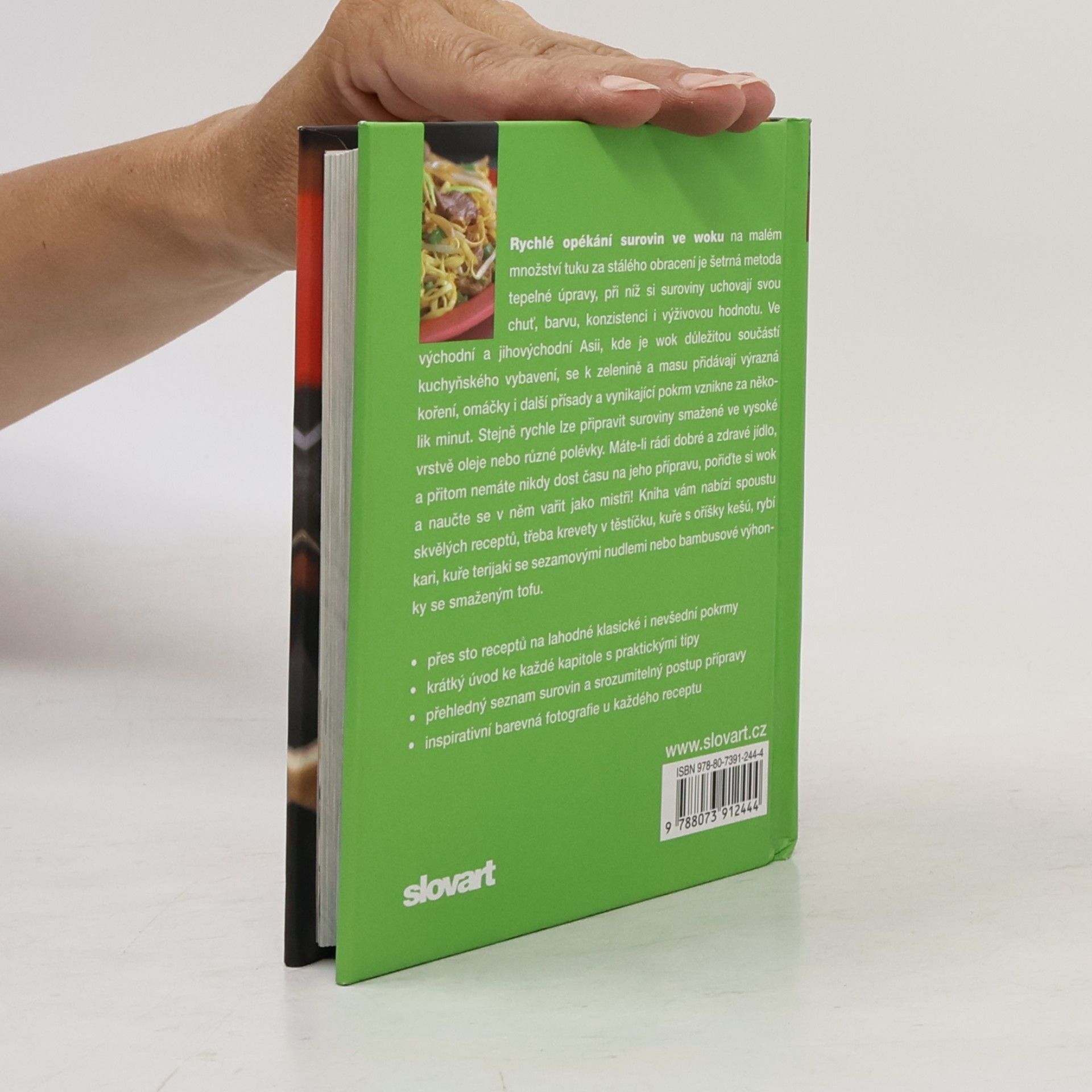Autorenkollektiv Wok : [více než 100 nepostradatelných receptů]