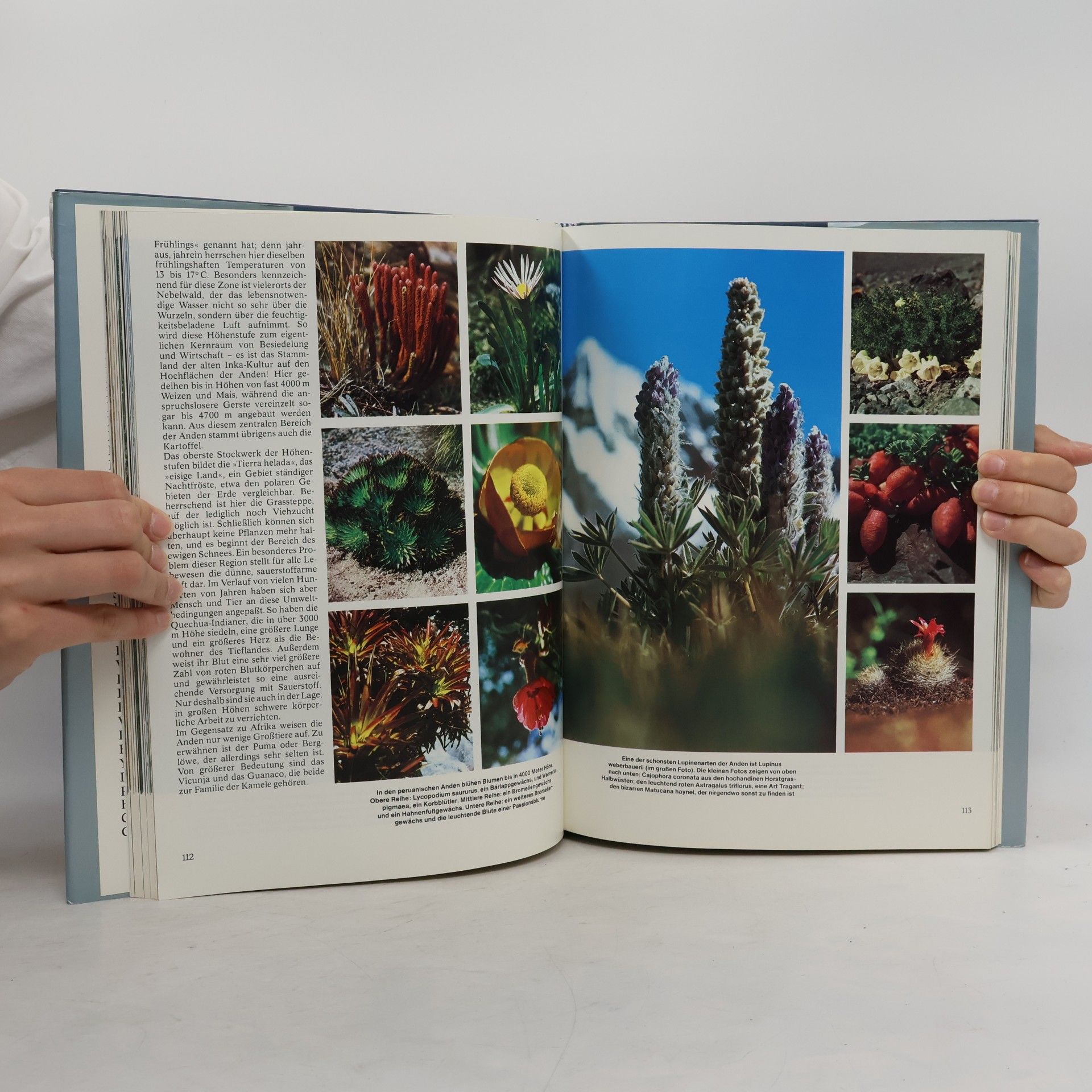 Claus J. Frank Weltwunder der Natur : mit 231 Farbfotos der besten Fotografen der Welt