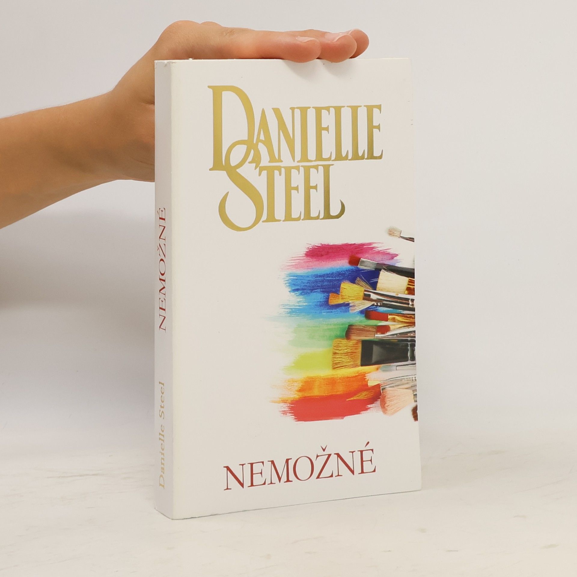 Danielle Steel Nemožné