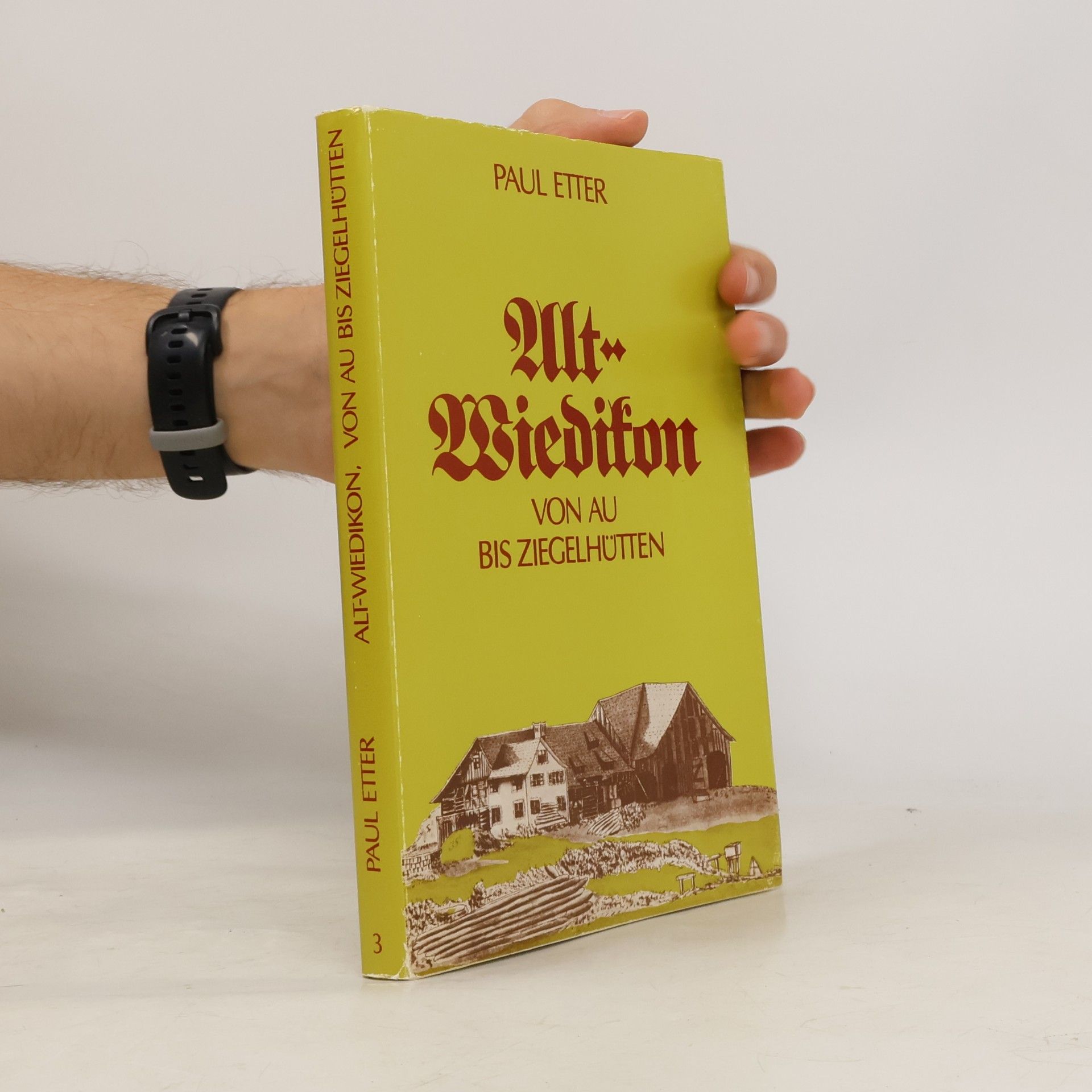 Alt-Wiedikon von az bis Ziegelhütten 3