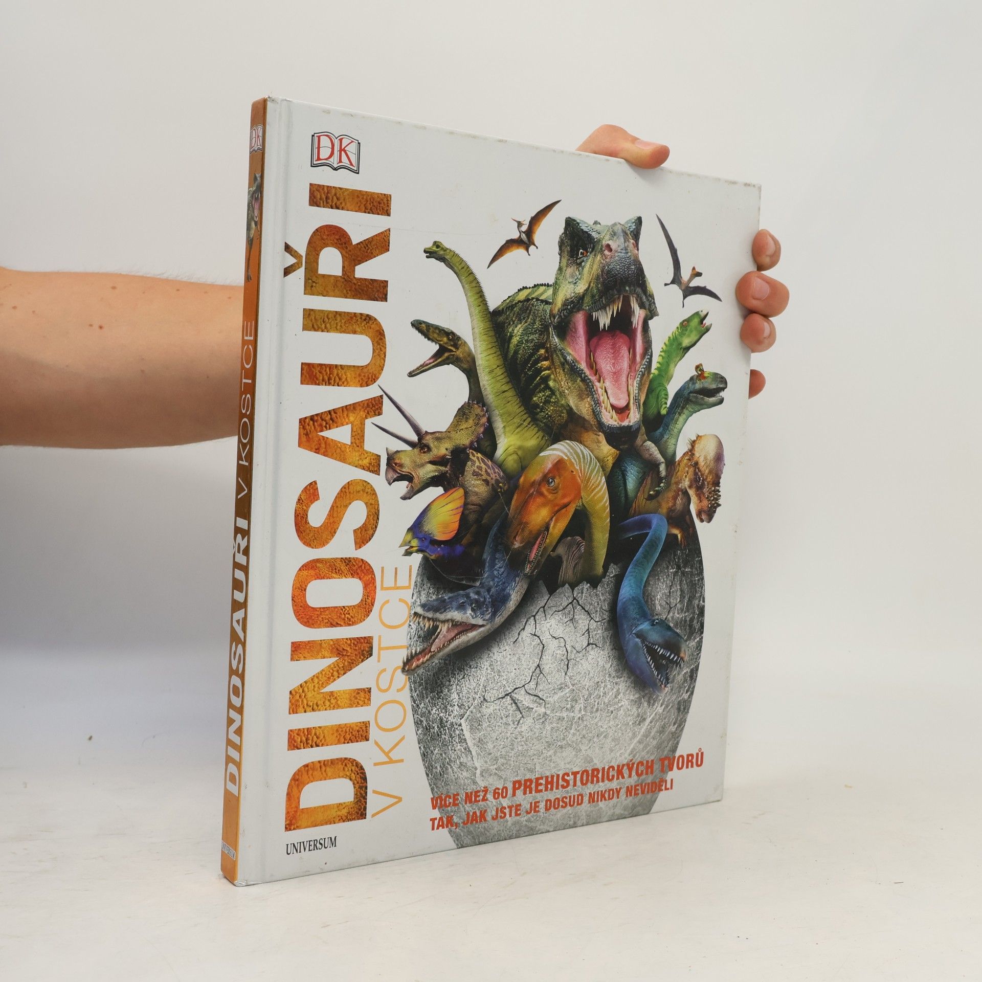 Kolektiv autorů Dinosauři v kostce
