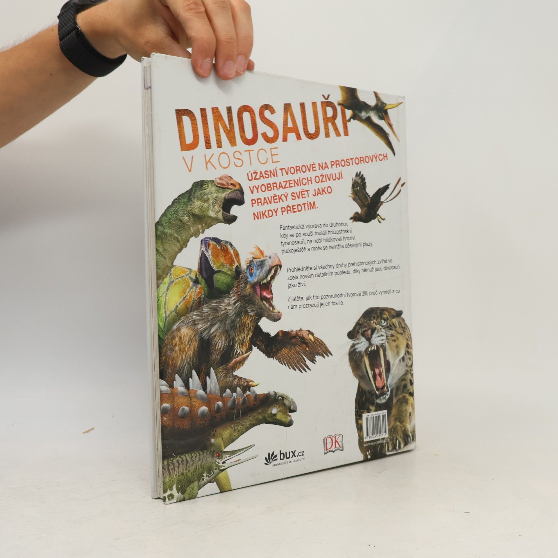 Kolektiv autorů Dinosauři v kostce