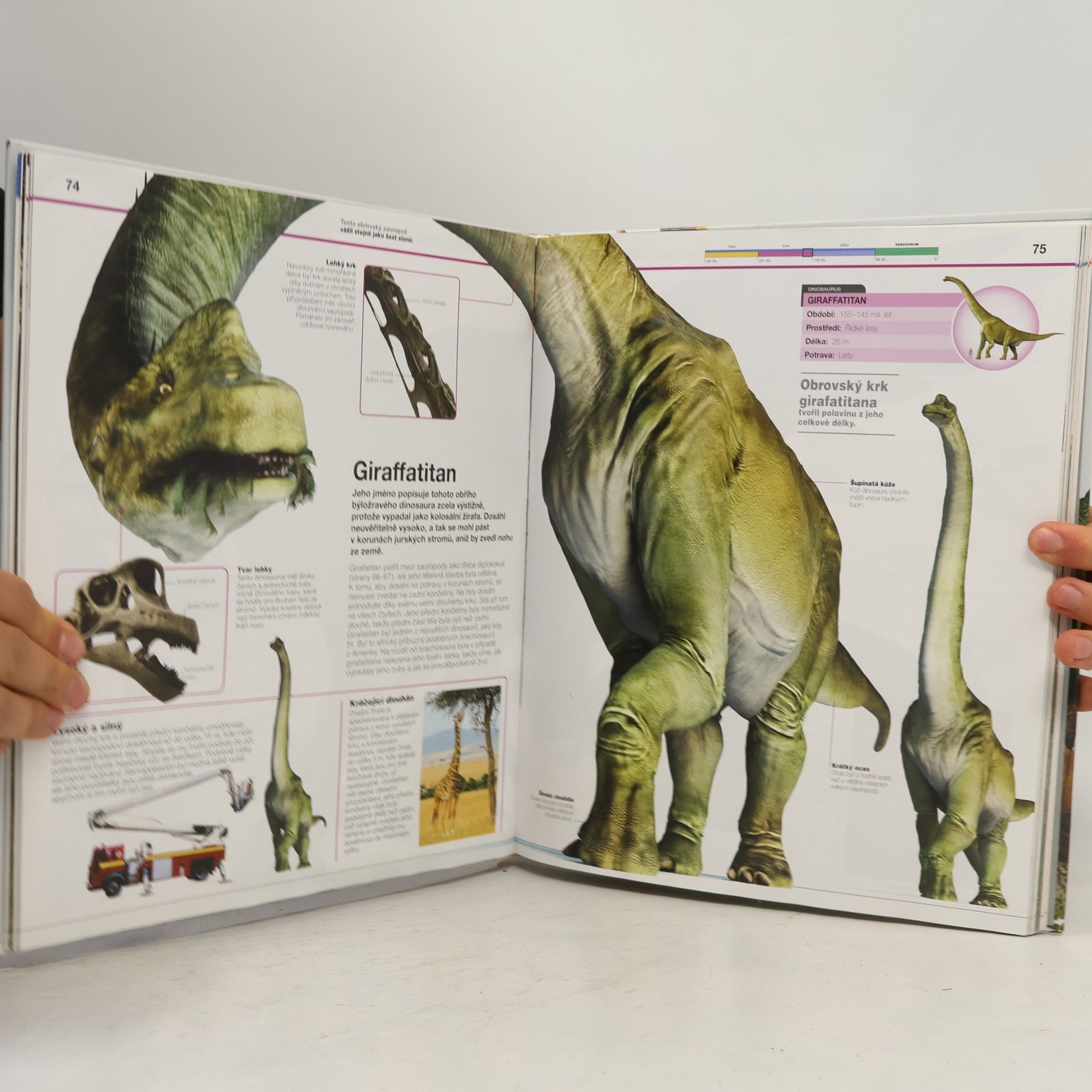 Kolektiv autorů Dinosauři v kostce