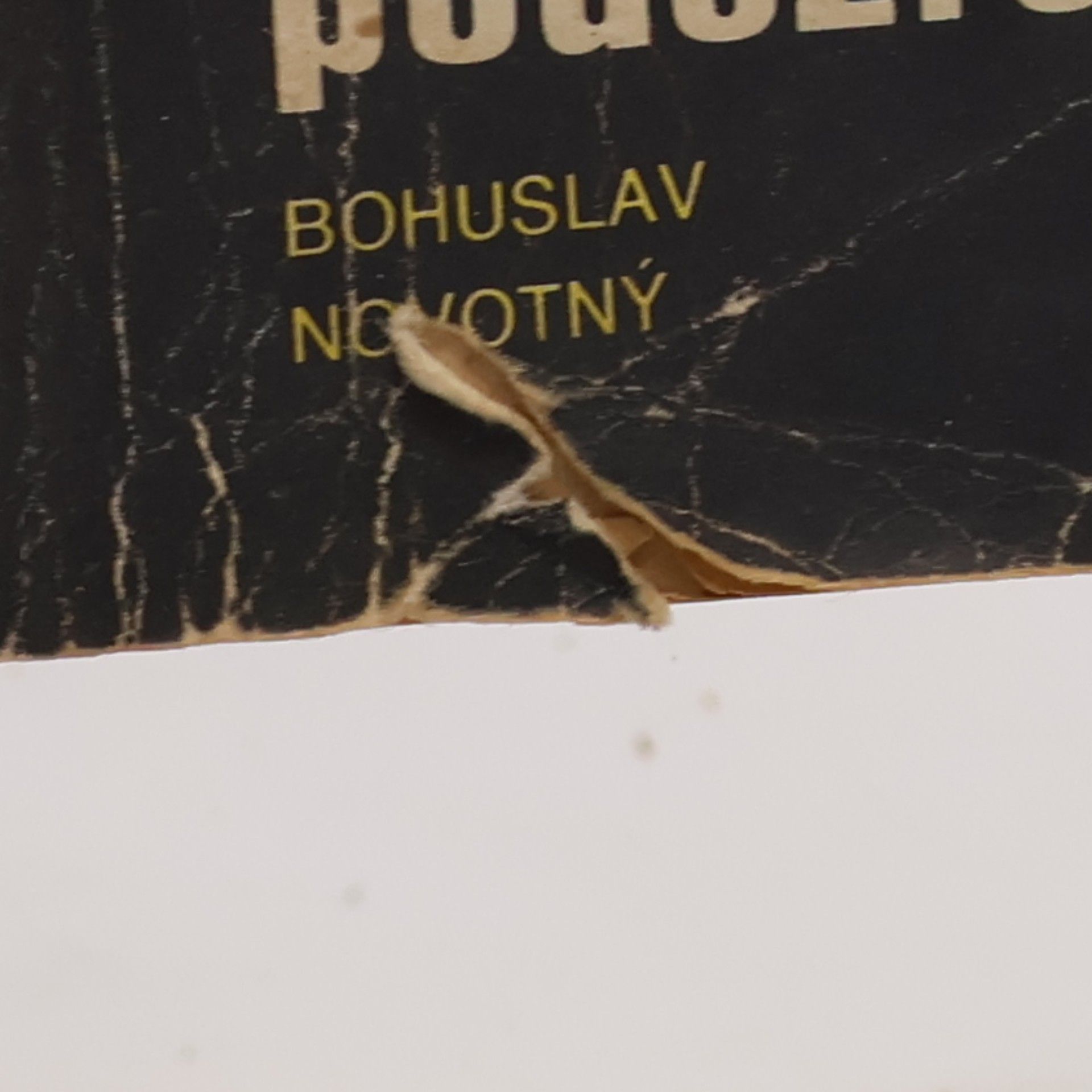 Bohuslav Novotný 5 podezřelých