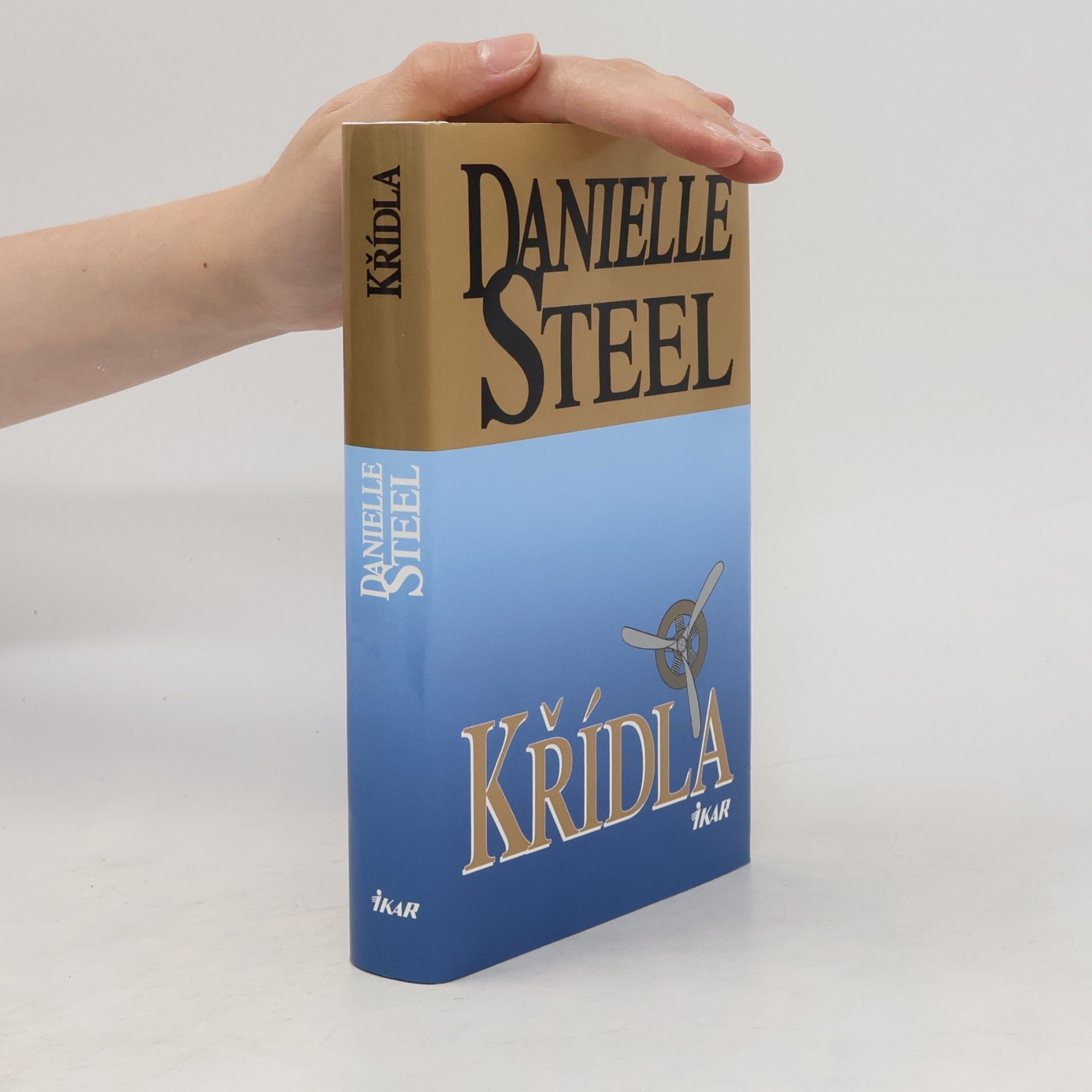 Danielle Steel Křídla