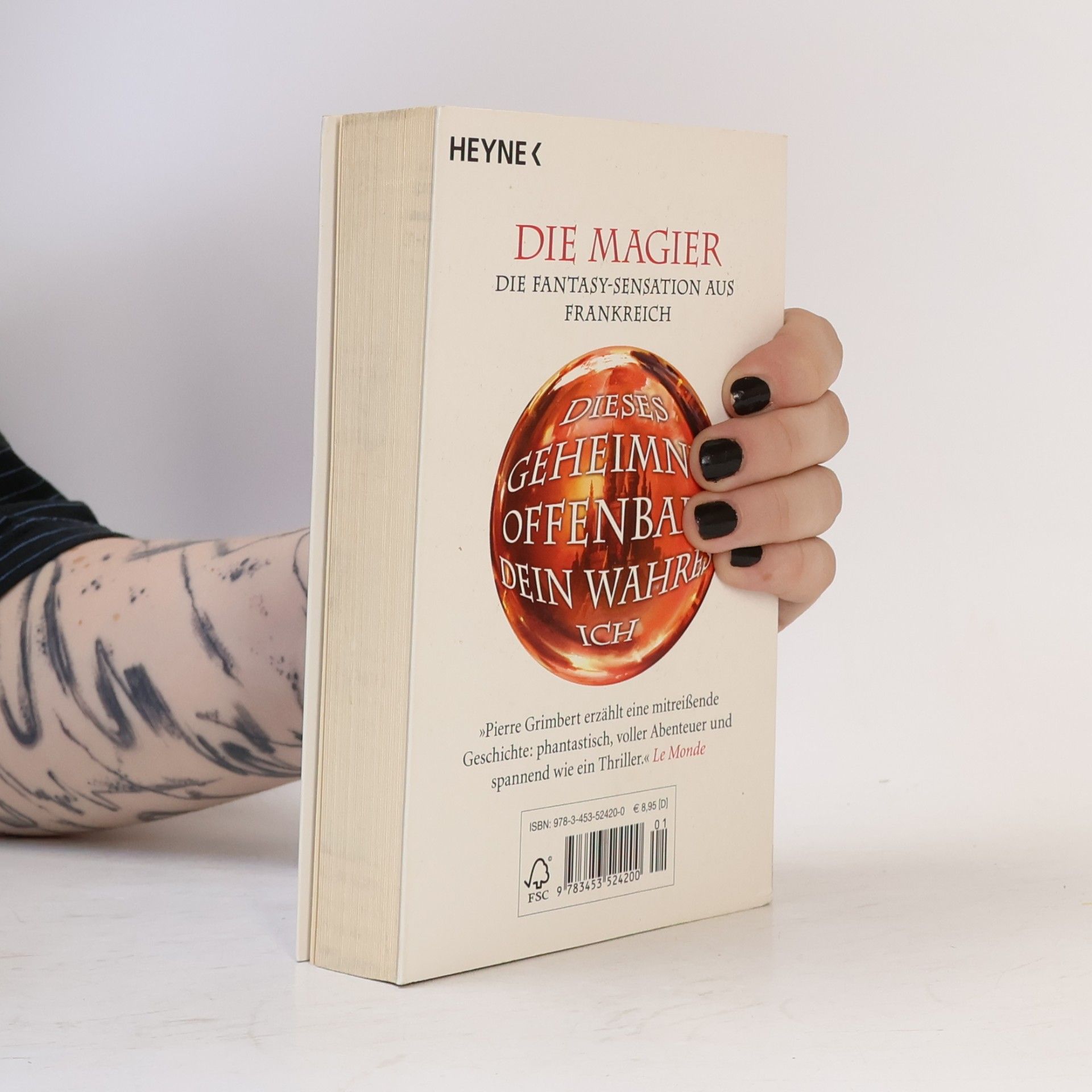 Pierre Grimbert Die Magier