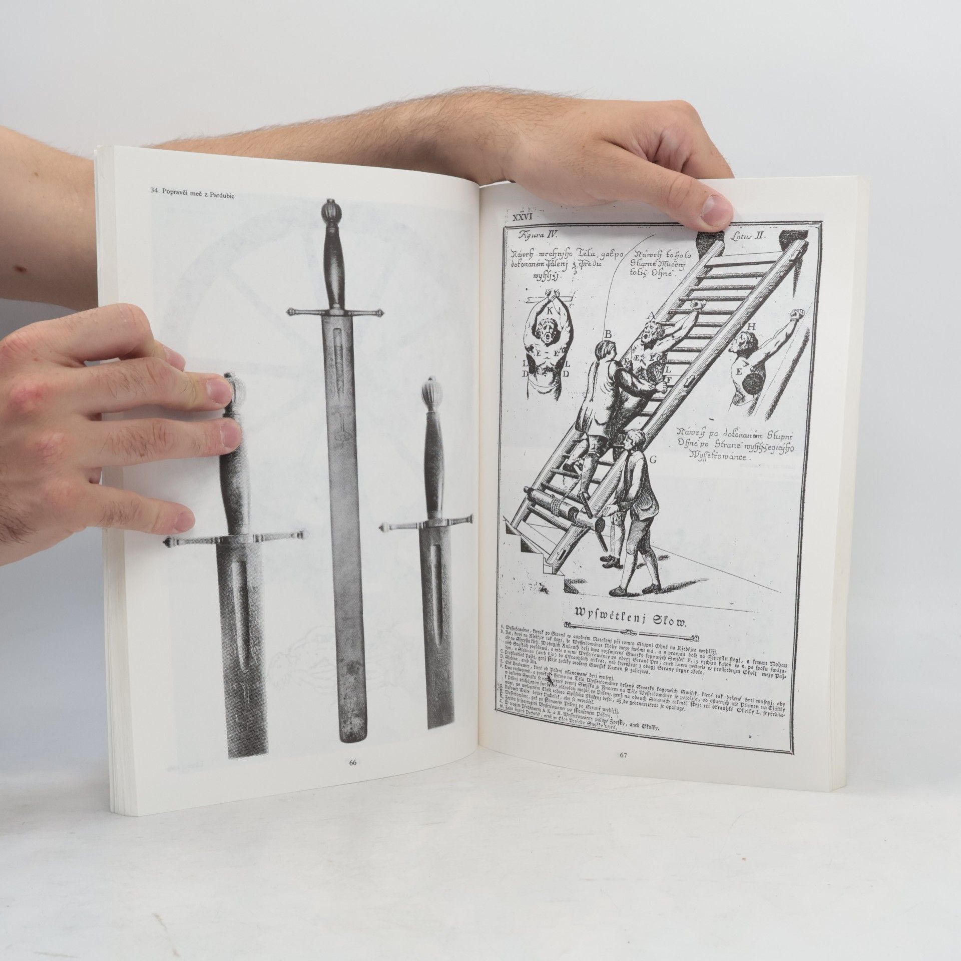 Jindřich Francek Hrdelní soudnictví českých zemí, soupis pramenů a literatury