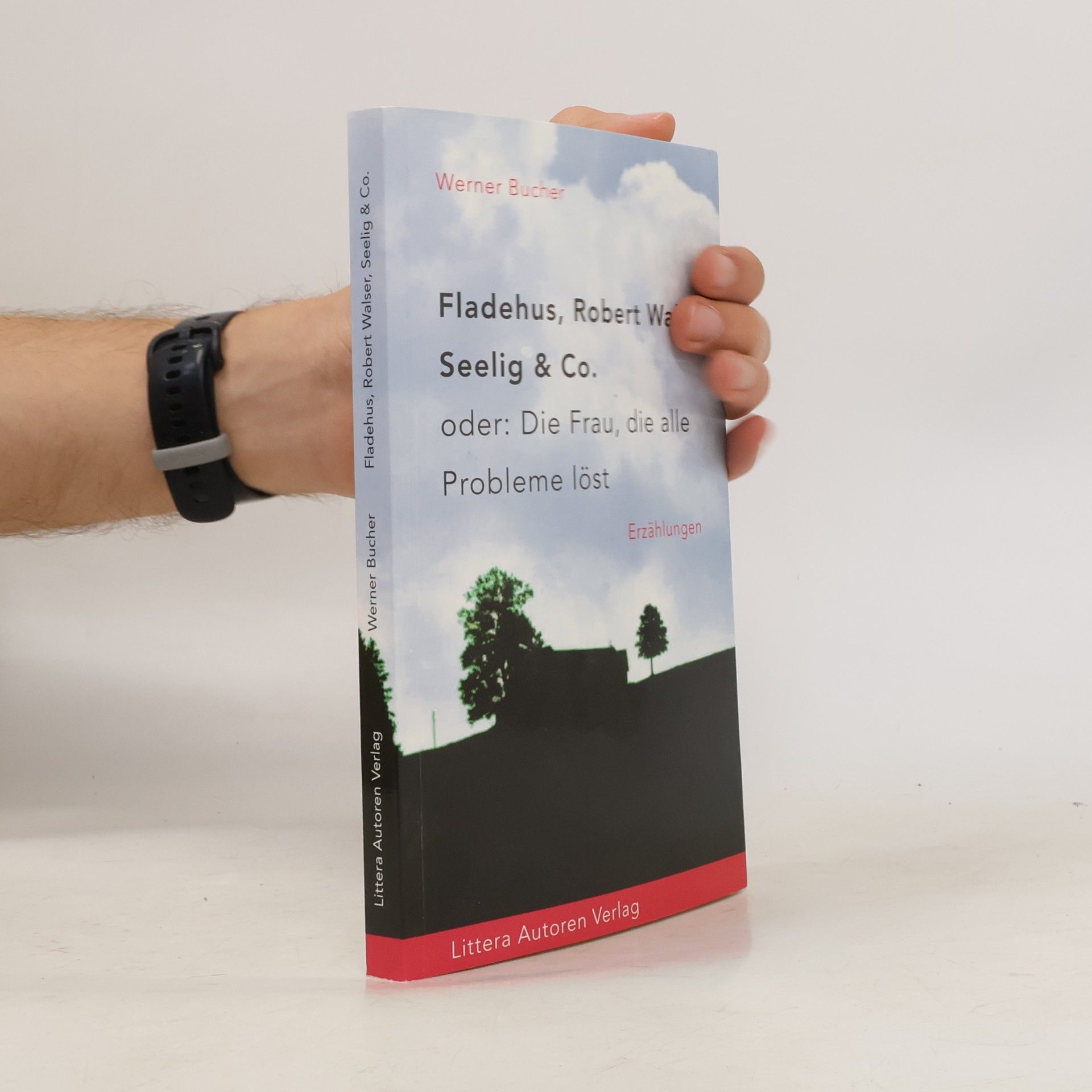 Fladehus, Robert Walser, Seelig & Co., oder, Die Frau, die alle Probleme löst