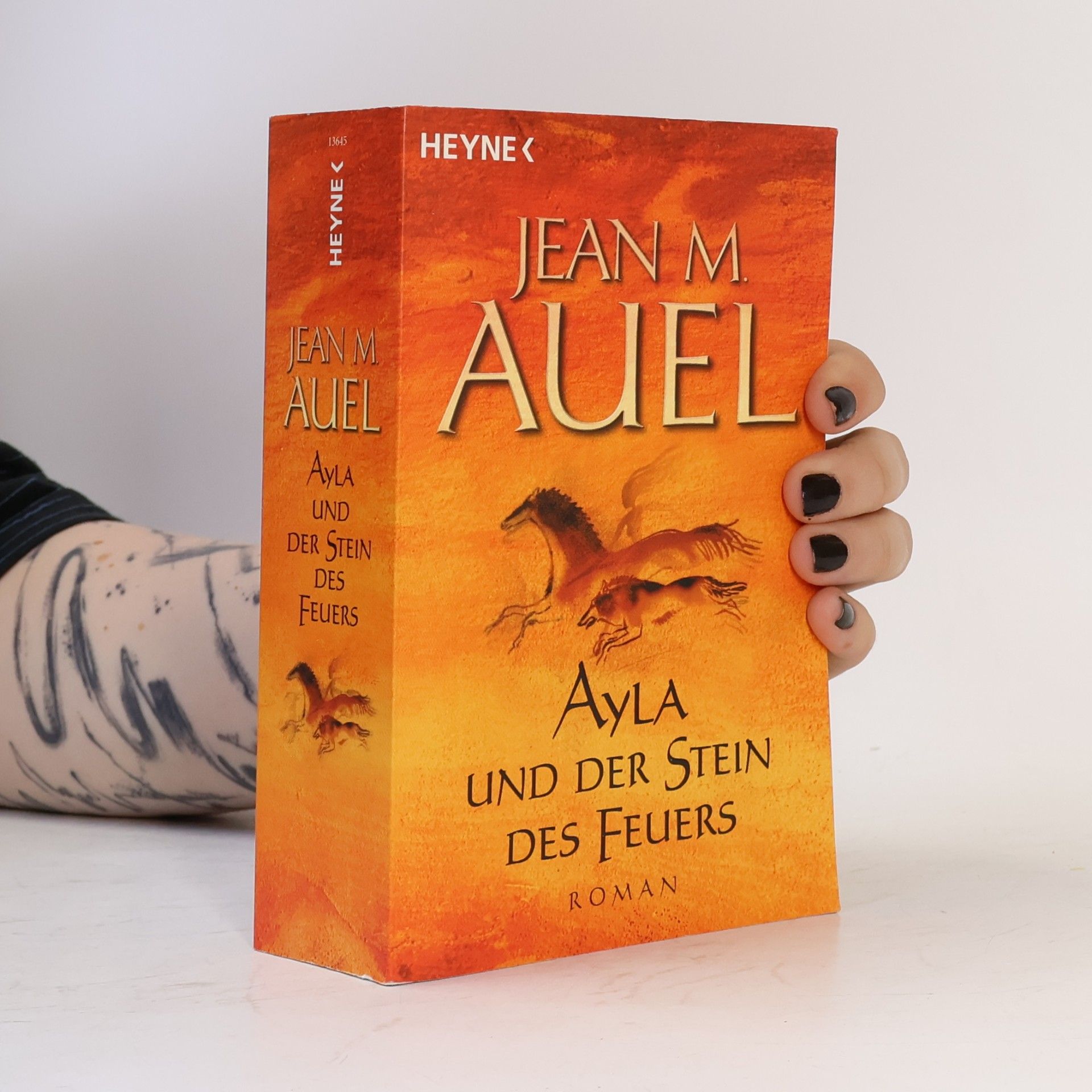 Jean M. Auelová Ayla und der Stein des Feuers