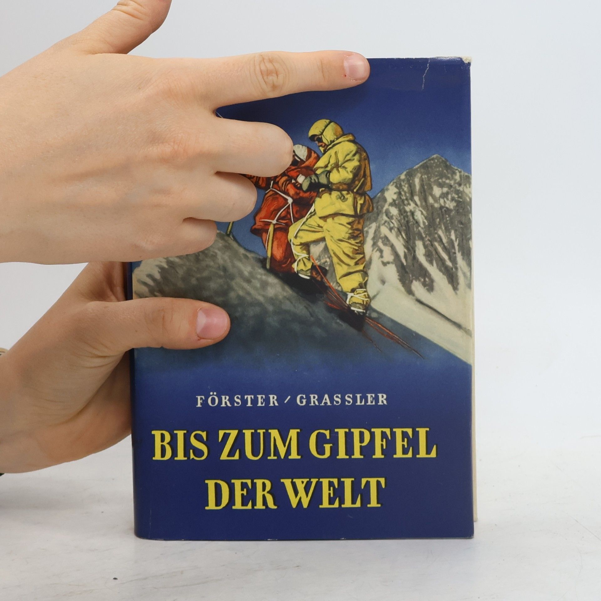 Hans Albert Förster Bis zum Gipfel der Welt