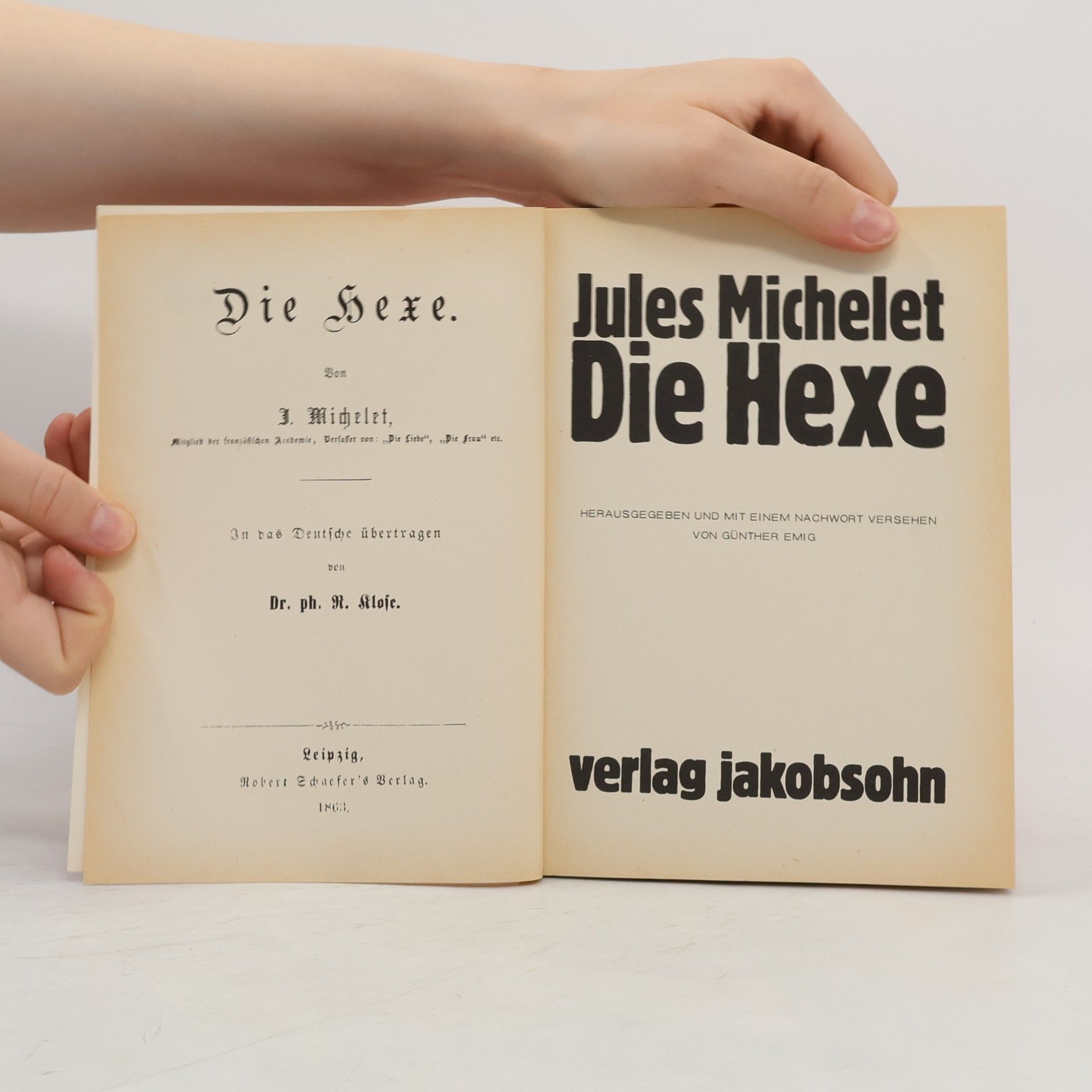 Jules Michelet Die Hexe