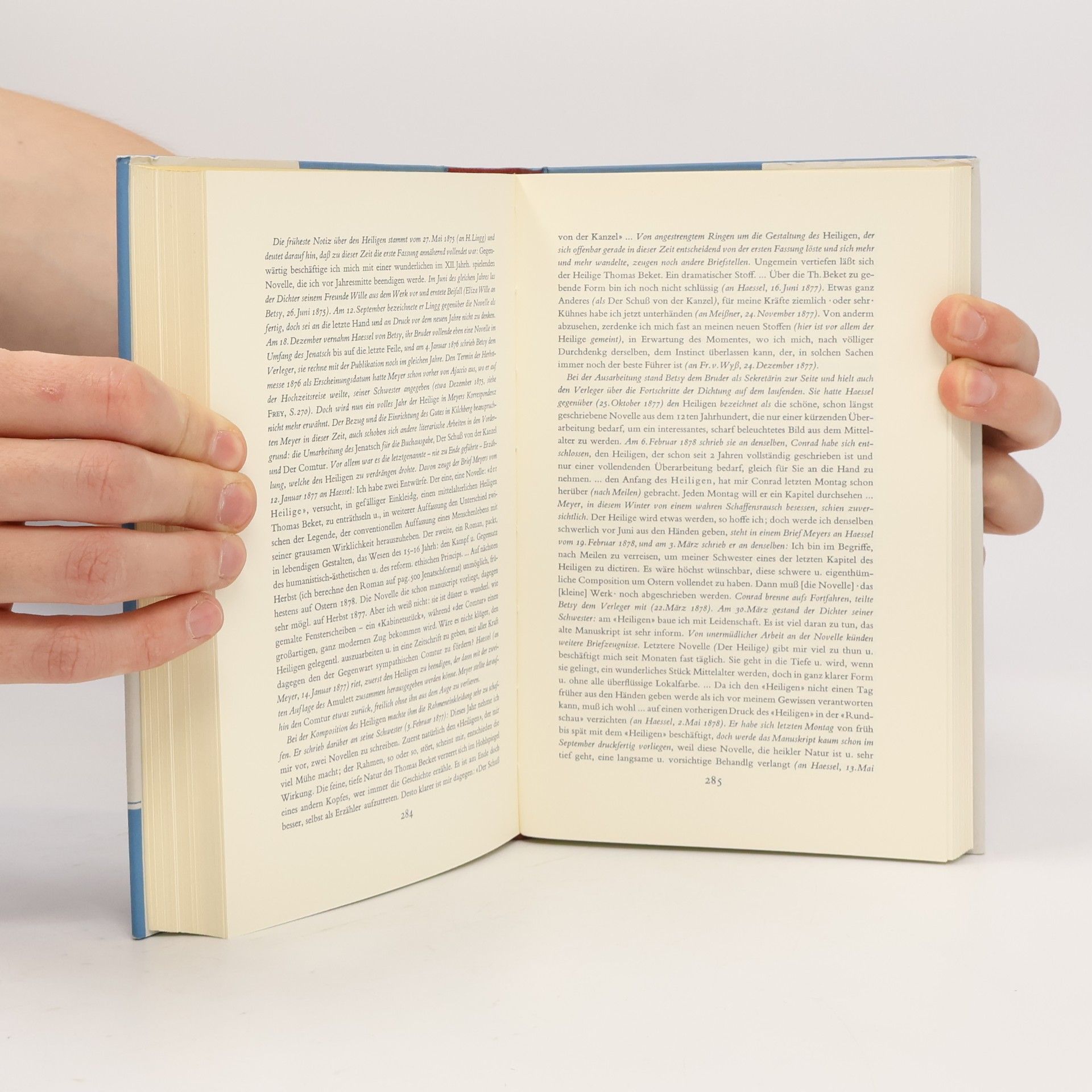 C. F. Meyer Sämtliche Werke 13