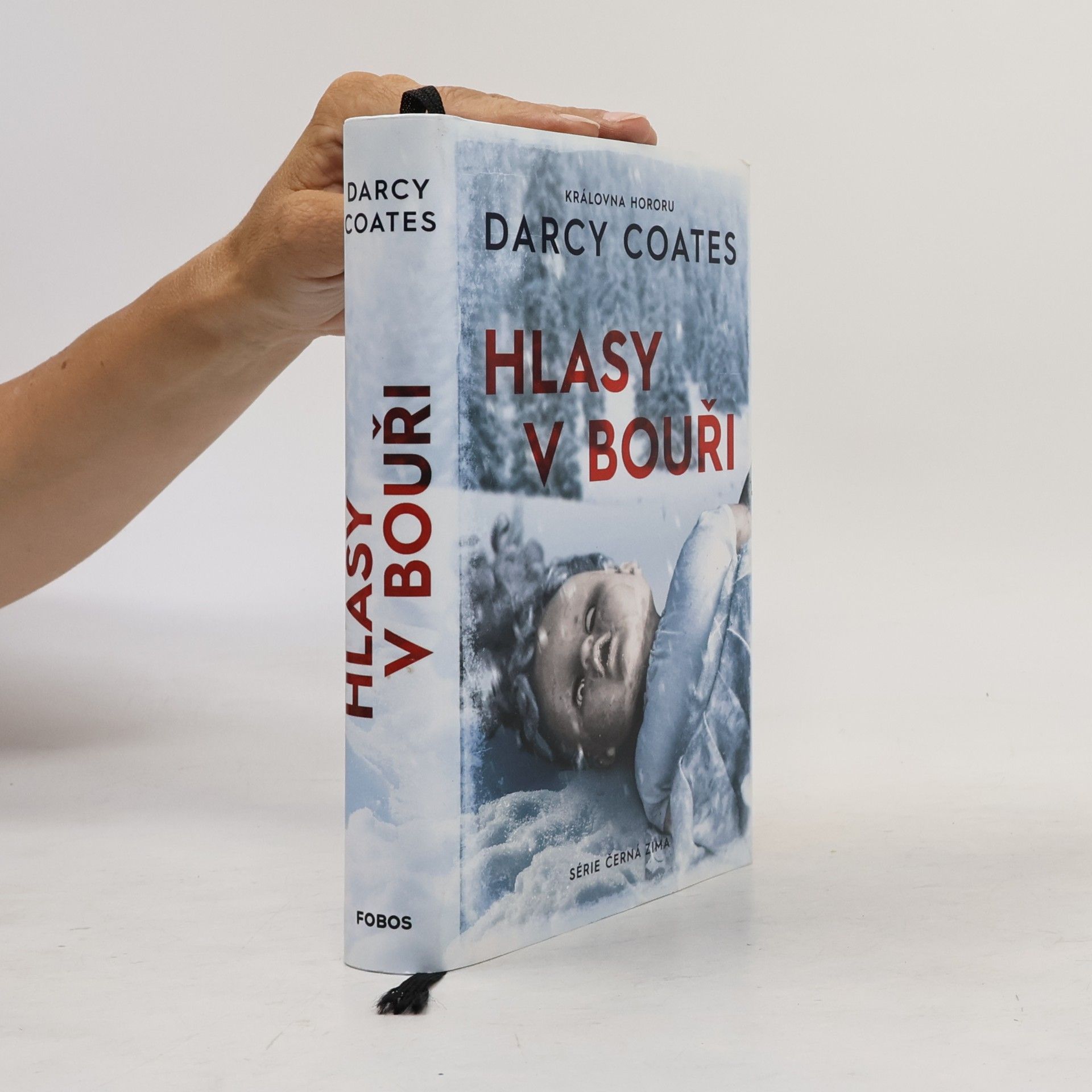 Darcy Coates Hlasy v bouři