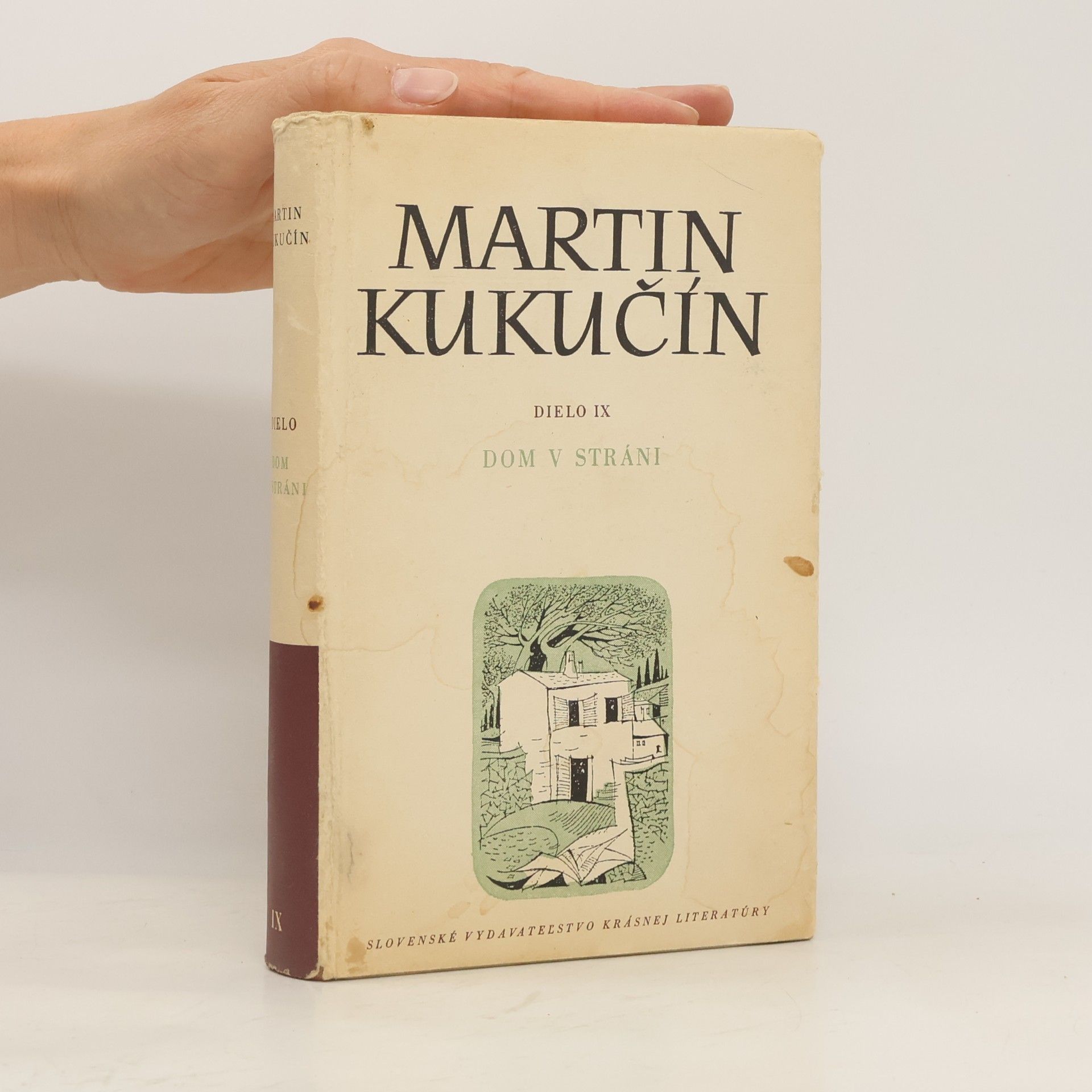 Martin Kukučín Dielo IX. Dom v stráni