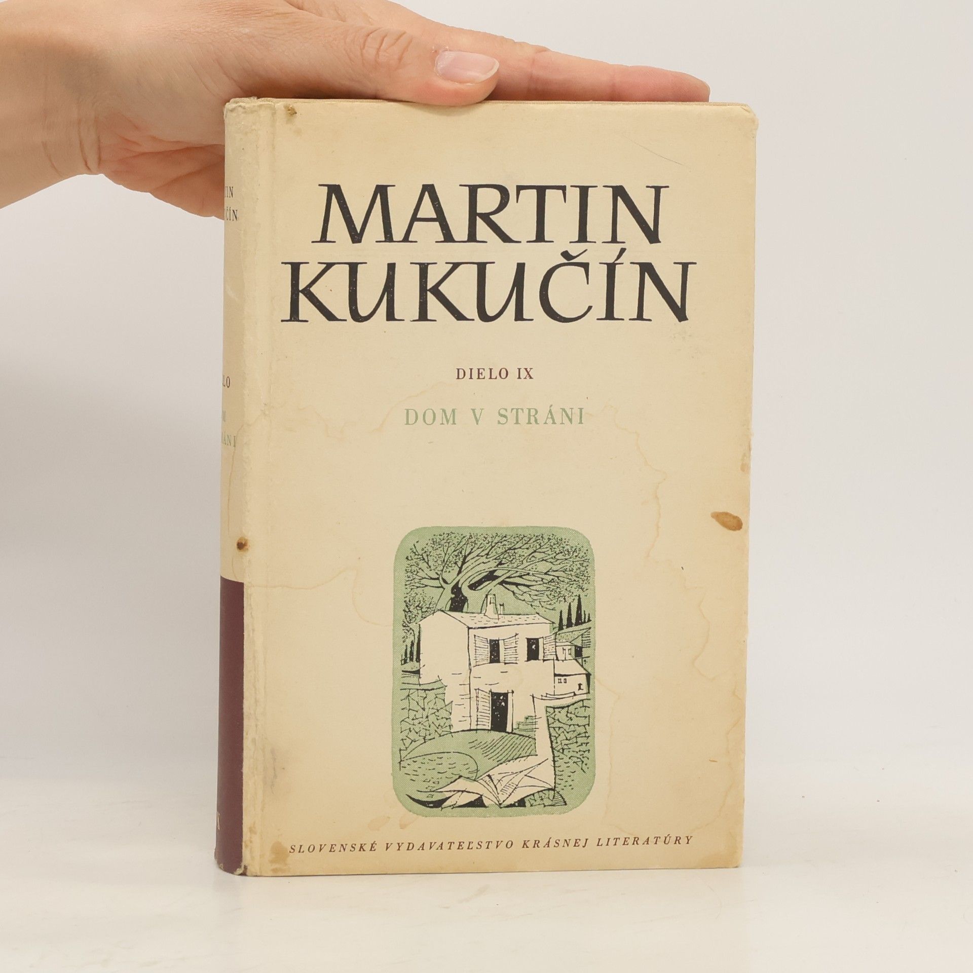 Martin Kukučín Dielo IX. Dom v stráni