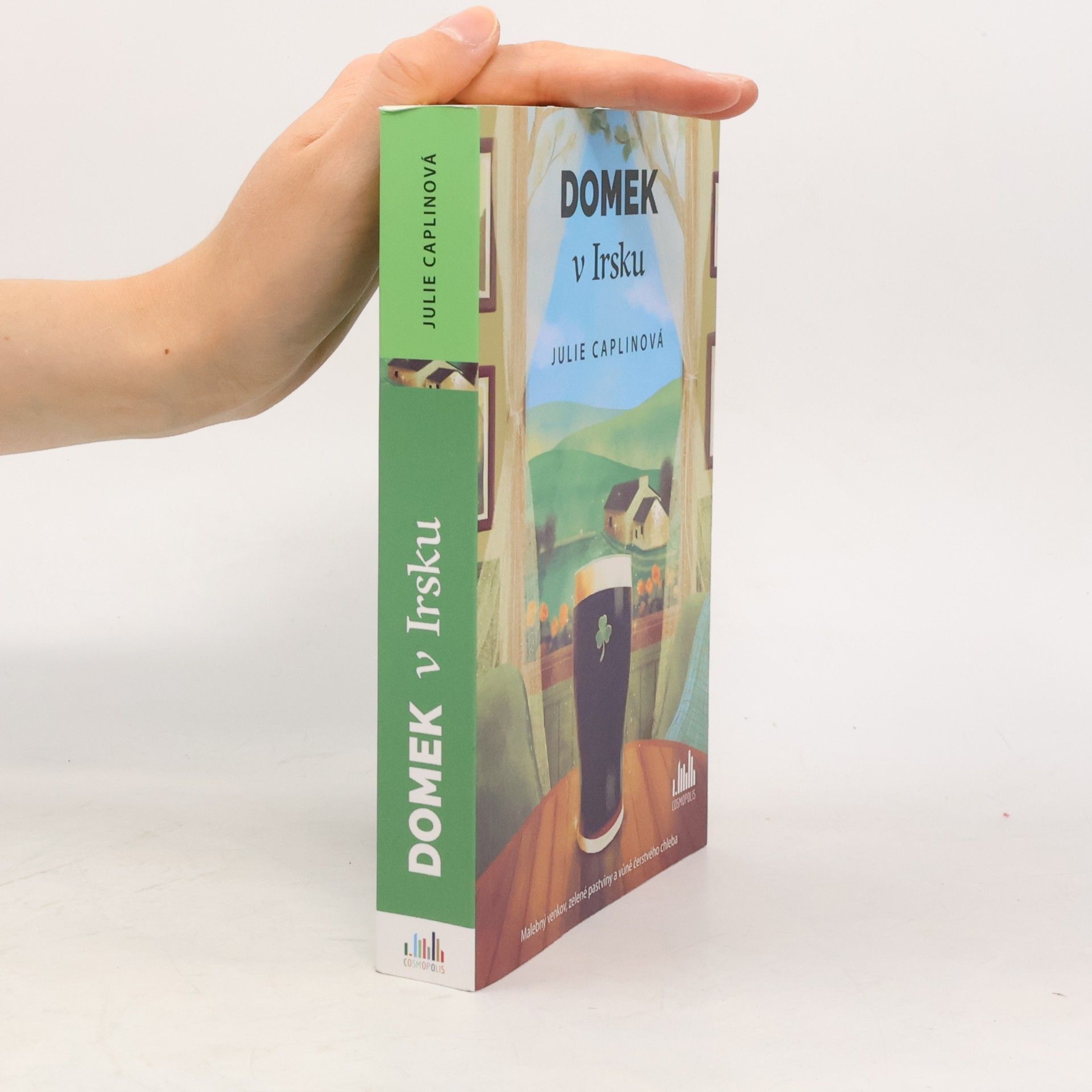 Julie Caplin Domek v Irsku