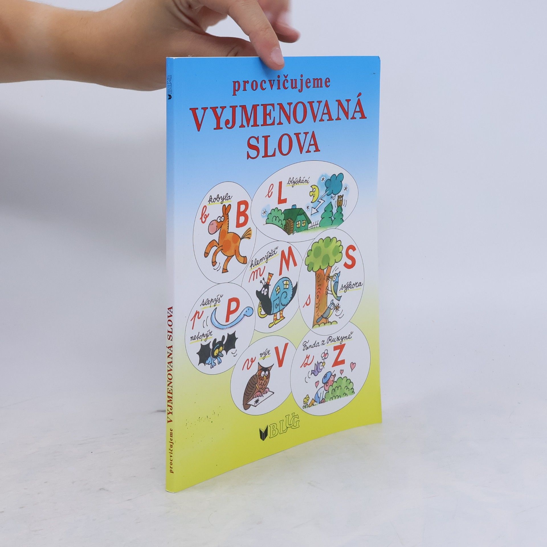 Sklenářová Dana Procvičujeme vyjmenovaná slova - hrajeme si