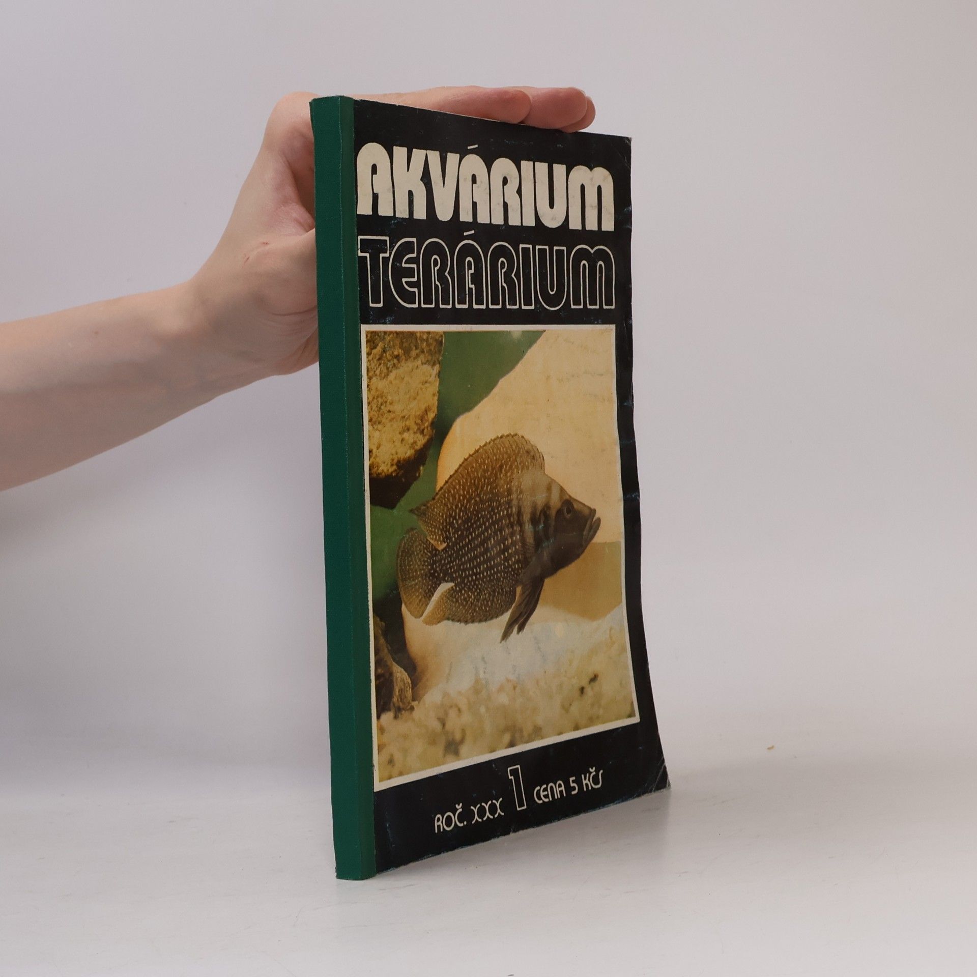 Kolektiv autorů Akvárium terárium