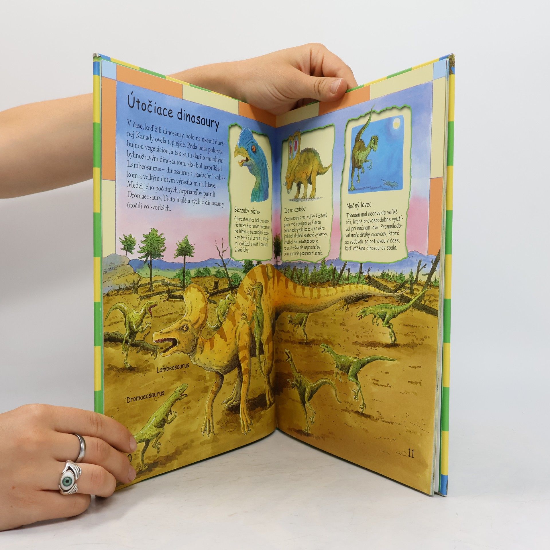 Autores varios Obrazový atlas dinosaurov pre najmenších