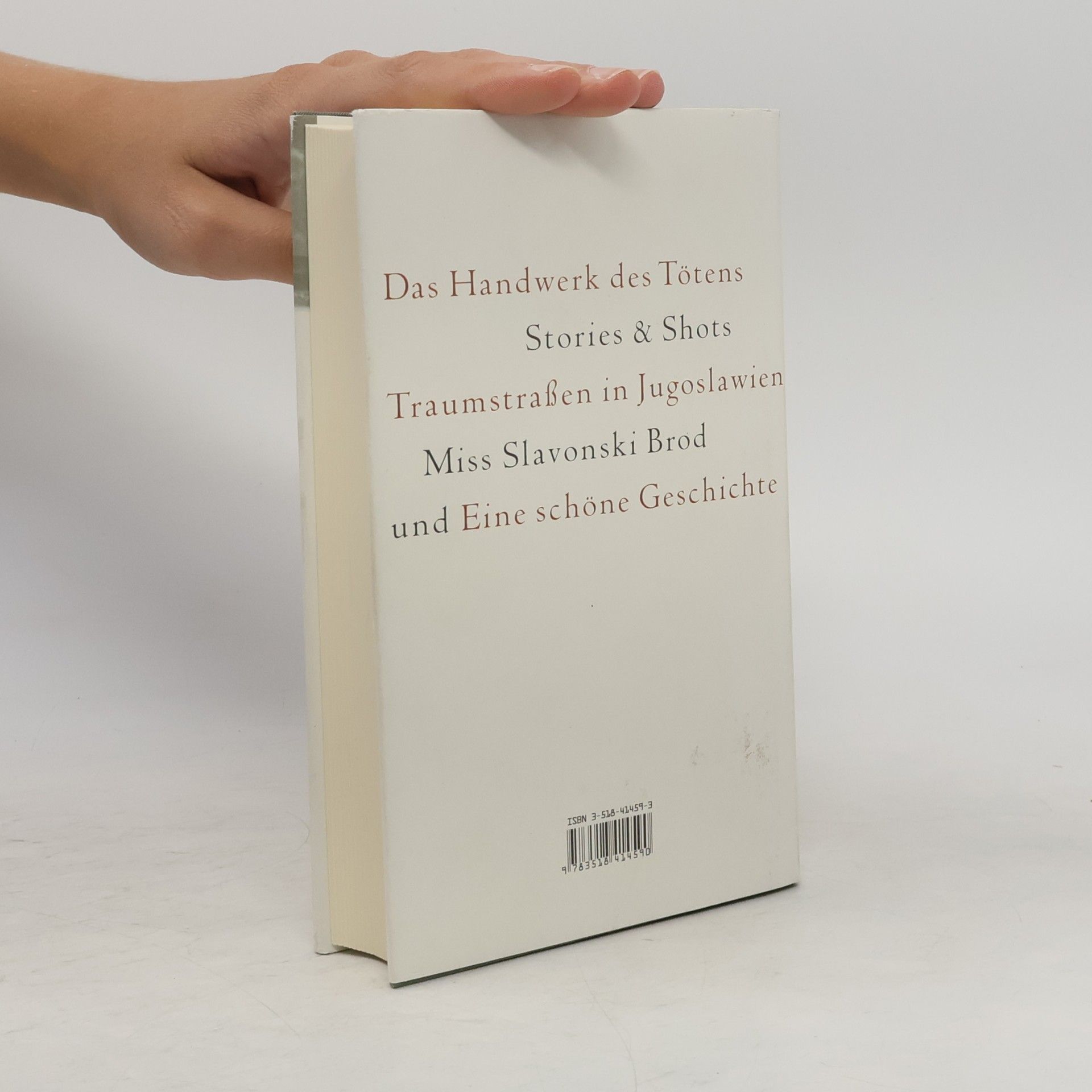 Norbert Gstrein Das Handwerk des Tötens