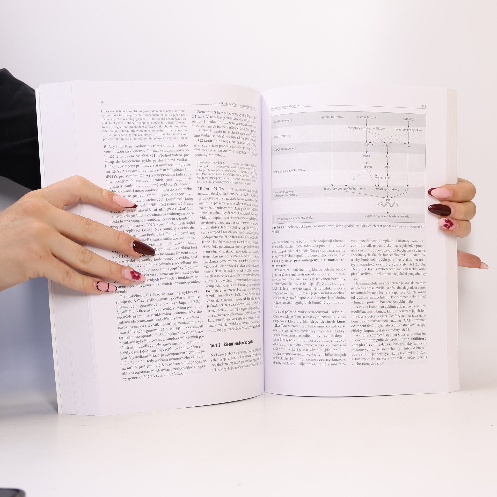 Bohuslav Matouš Základy lékařské chemie a biochemie