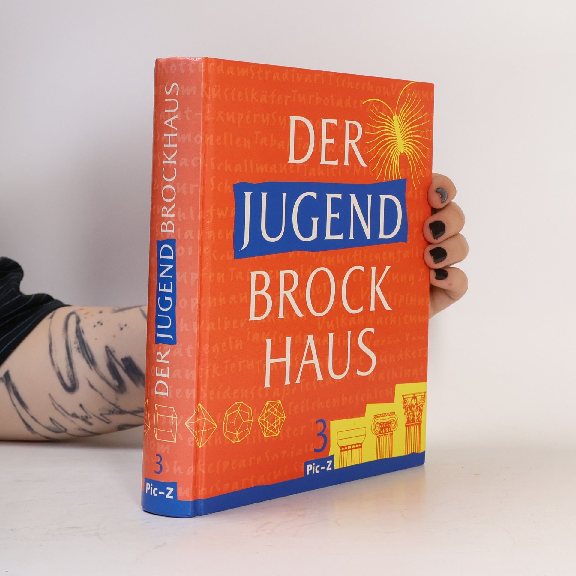 Kolektiv autorů Der Jugend-Brockhaus 3. Pic-Z