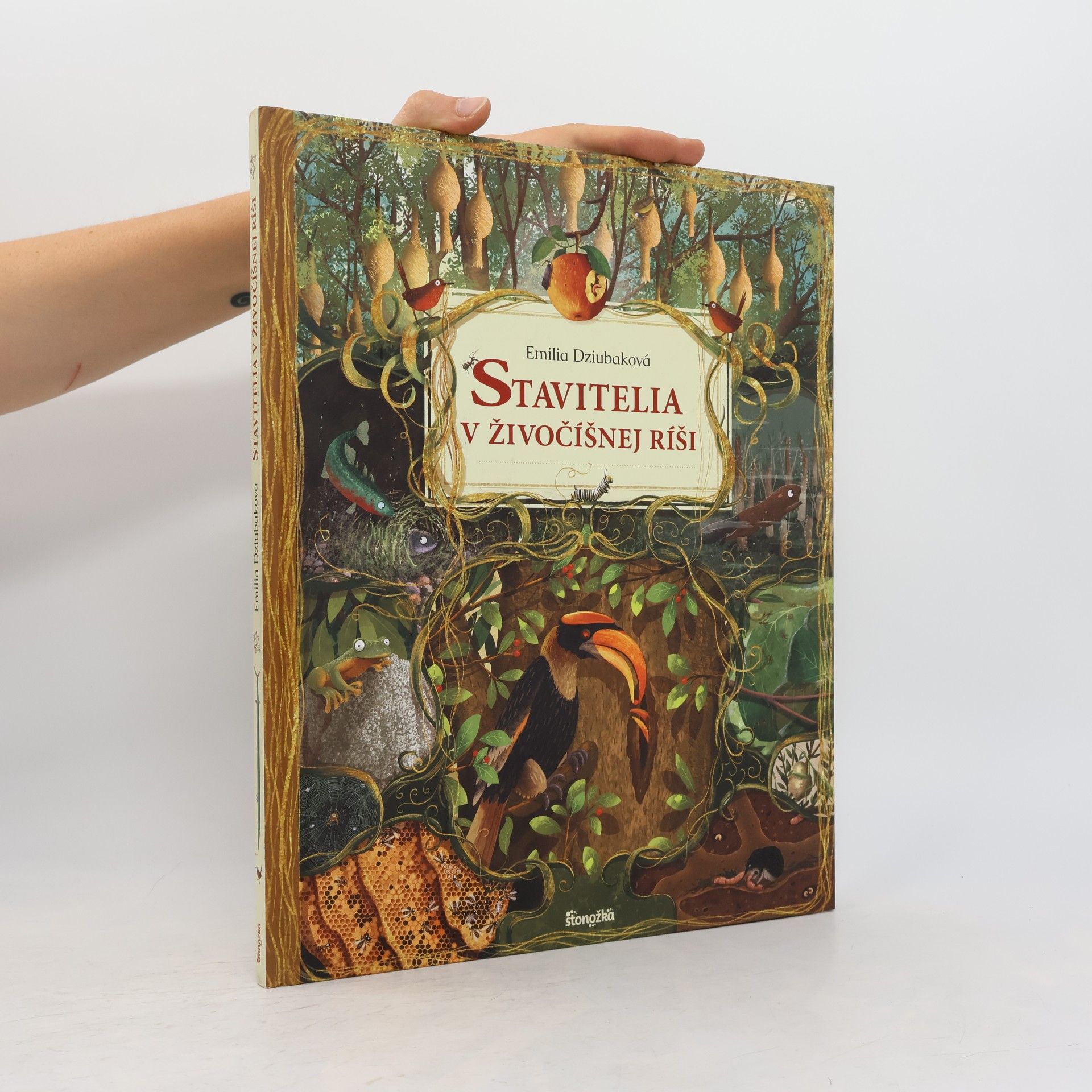 Stavitelia v živočíšnej ríši